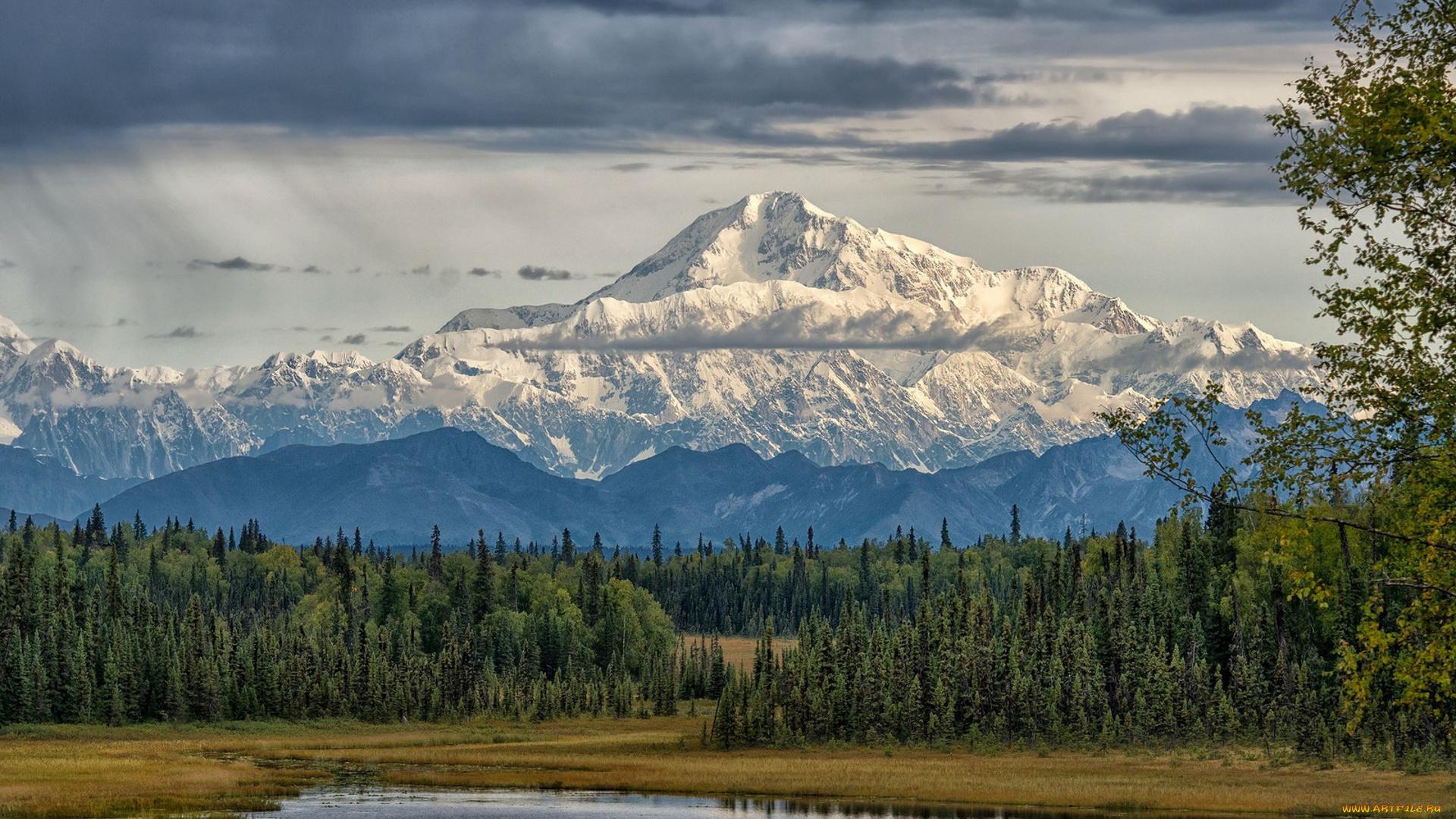 природа, реки, озера, простор