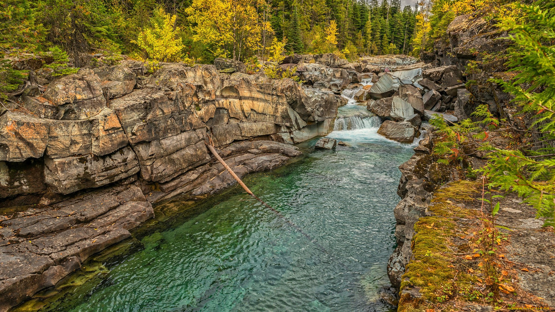 природа, реки, озера, простор
