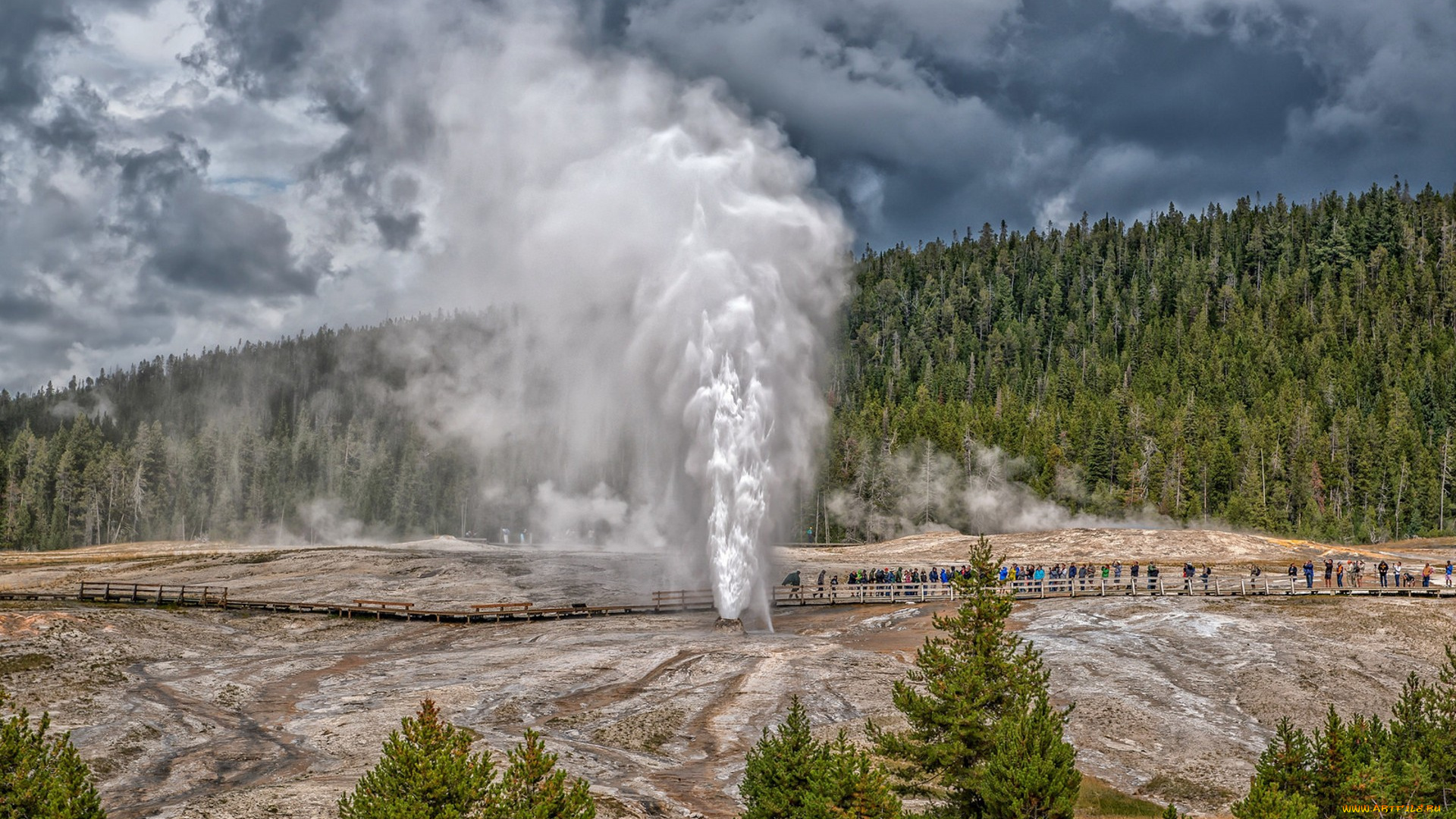 природа, стихия, простор