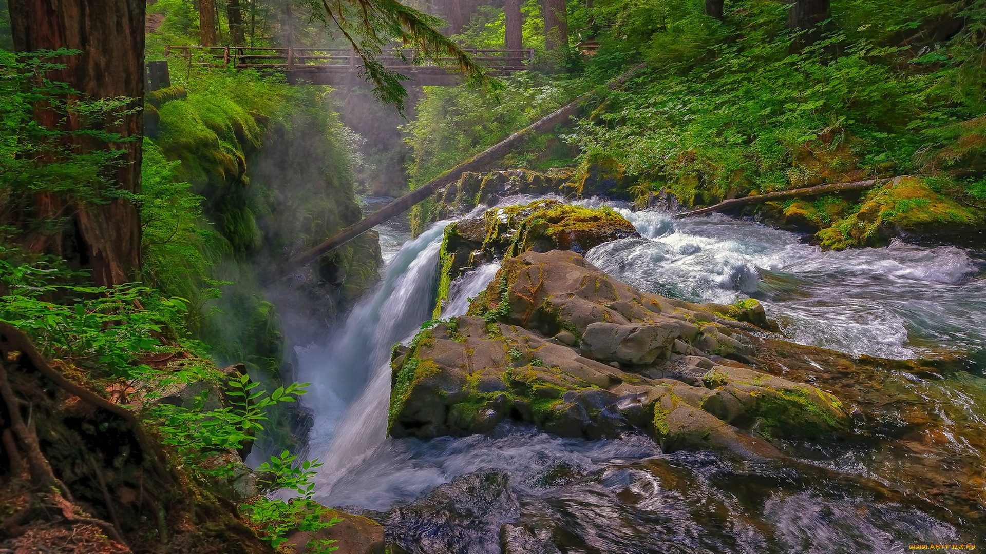 природа, водопады, лес, водопад, река