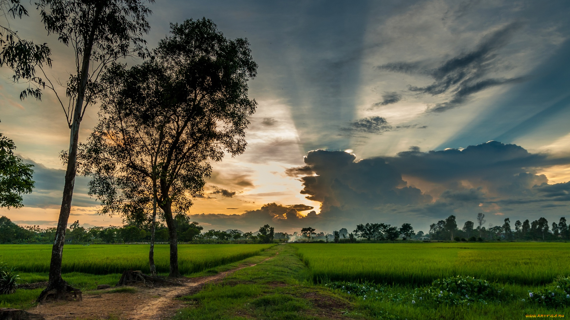 вьетнам, природа, восходы, закаты, растения, тропа, деревья, облака