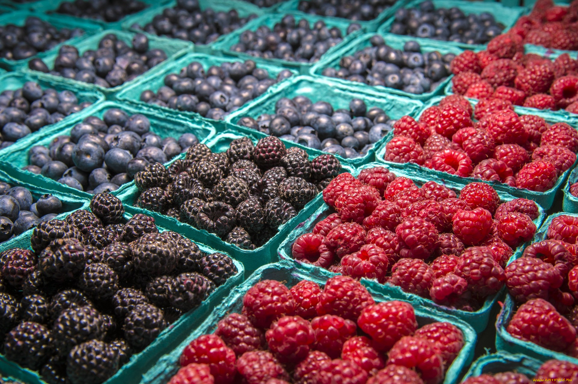 еда, фрукты, , ягоды, много, ягоды, черника, ежевика, малина