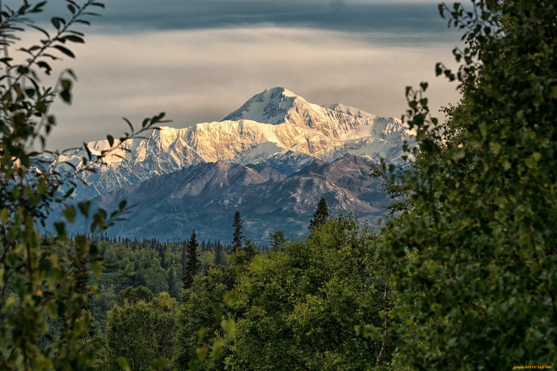 природа, горы, простор