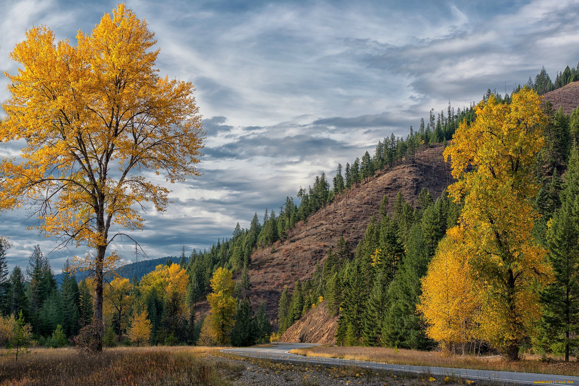 природа, горы, простор