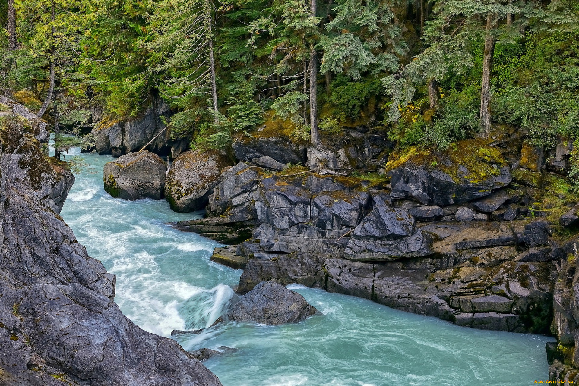 природа, реки, озера, простор