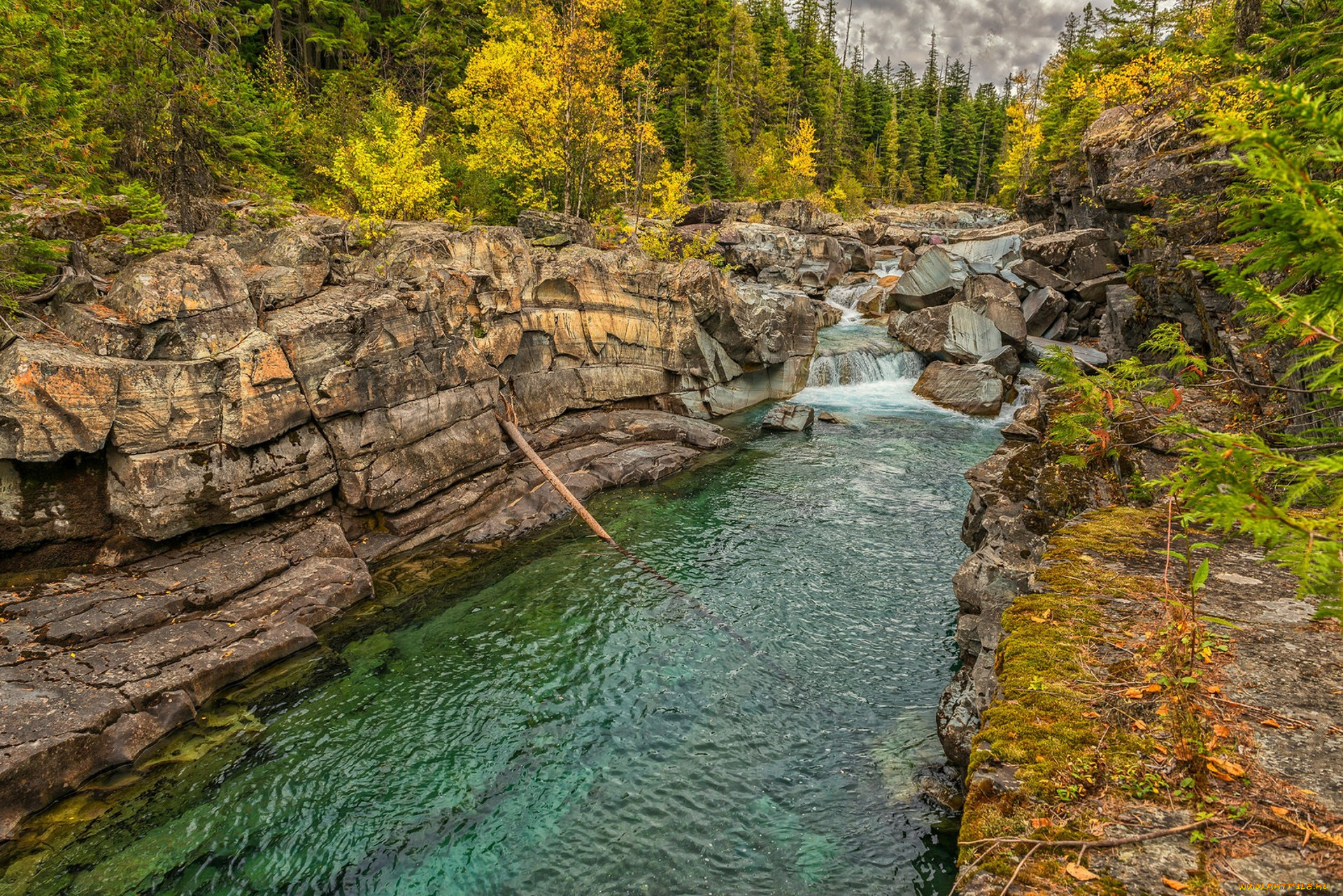 природа, реки, озера, простор