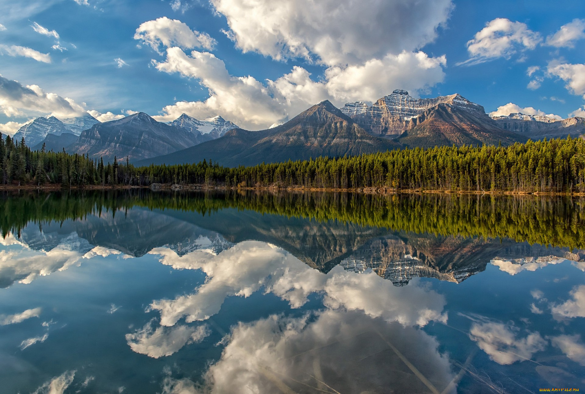 природа, реки, озера, лес, горы, река