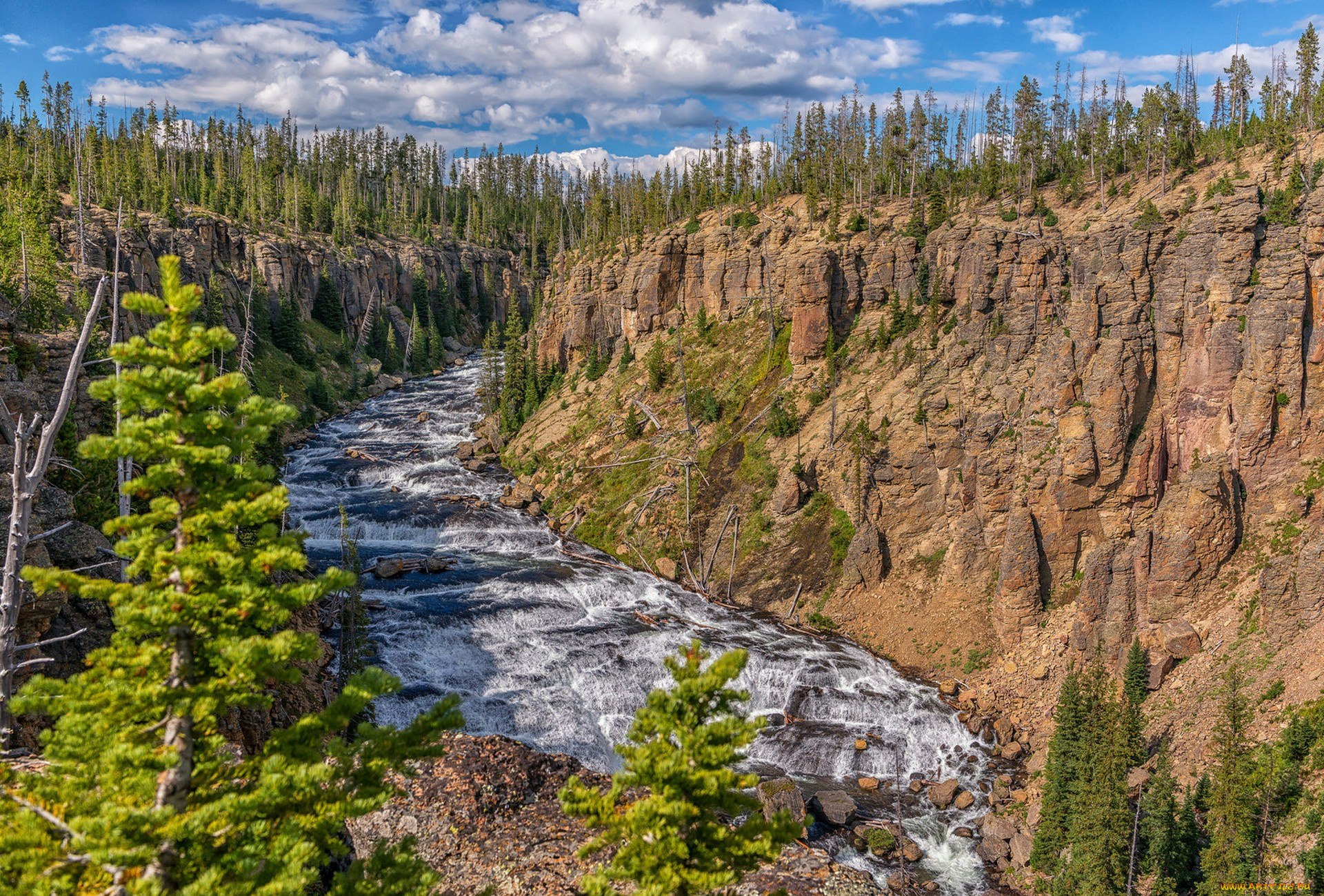 природа, реки, озера, простор