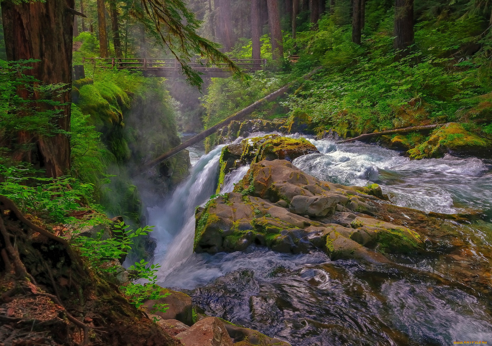 природа, водопады, лес, водопад, река