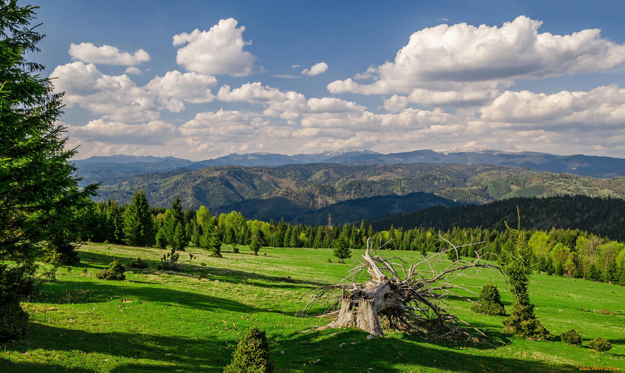 природа, пейзажи, простор