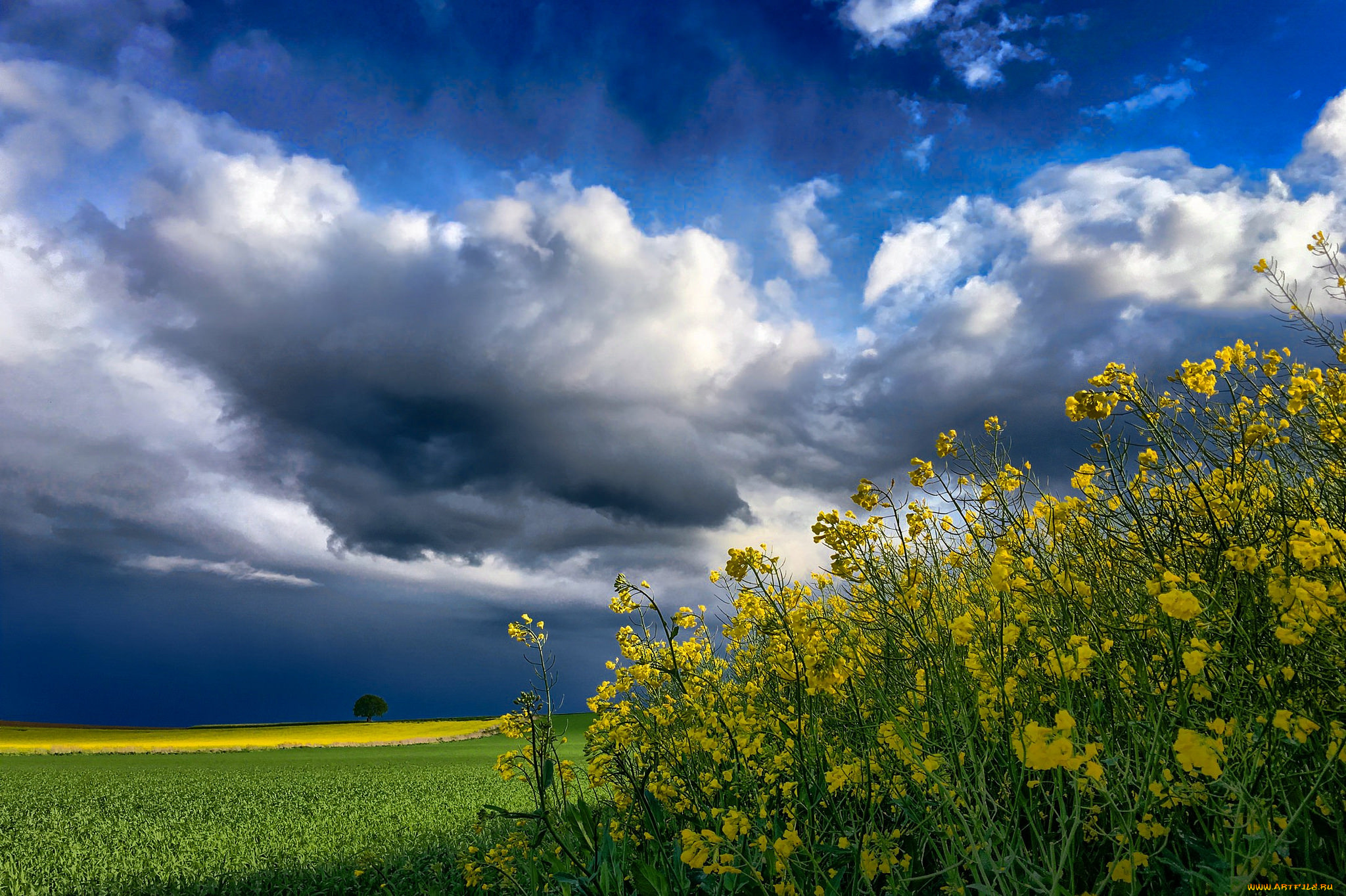 природа, пейзажи, простор