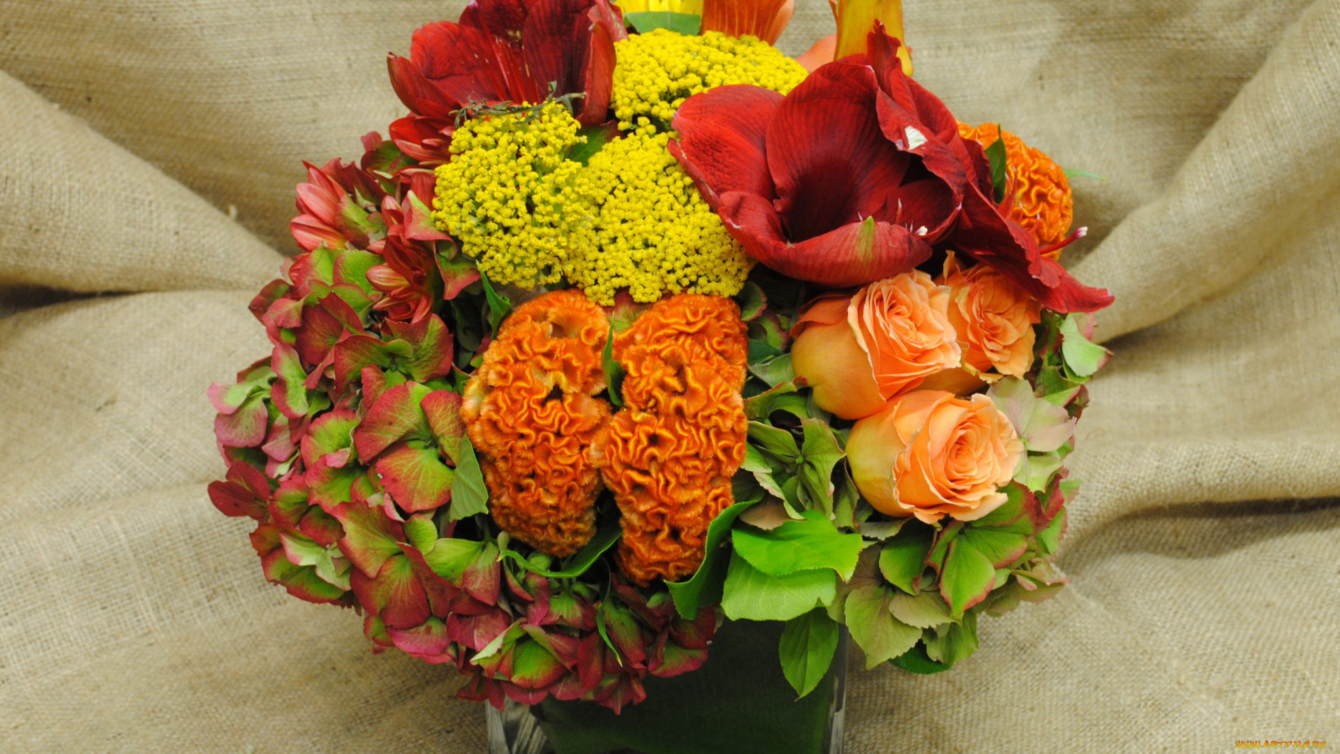 цветы, букеты, , композиции, каллы, розы