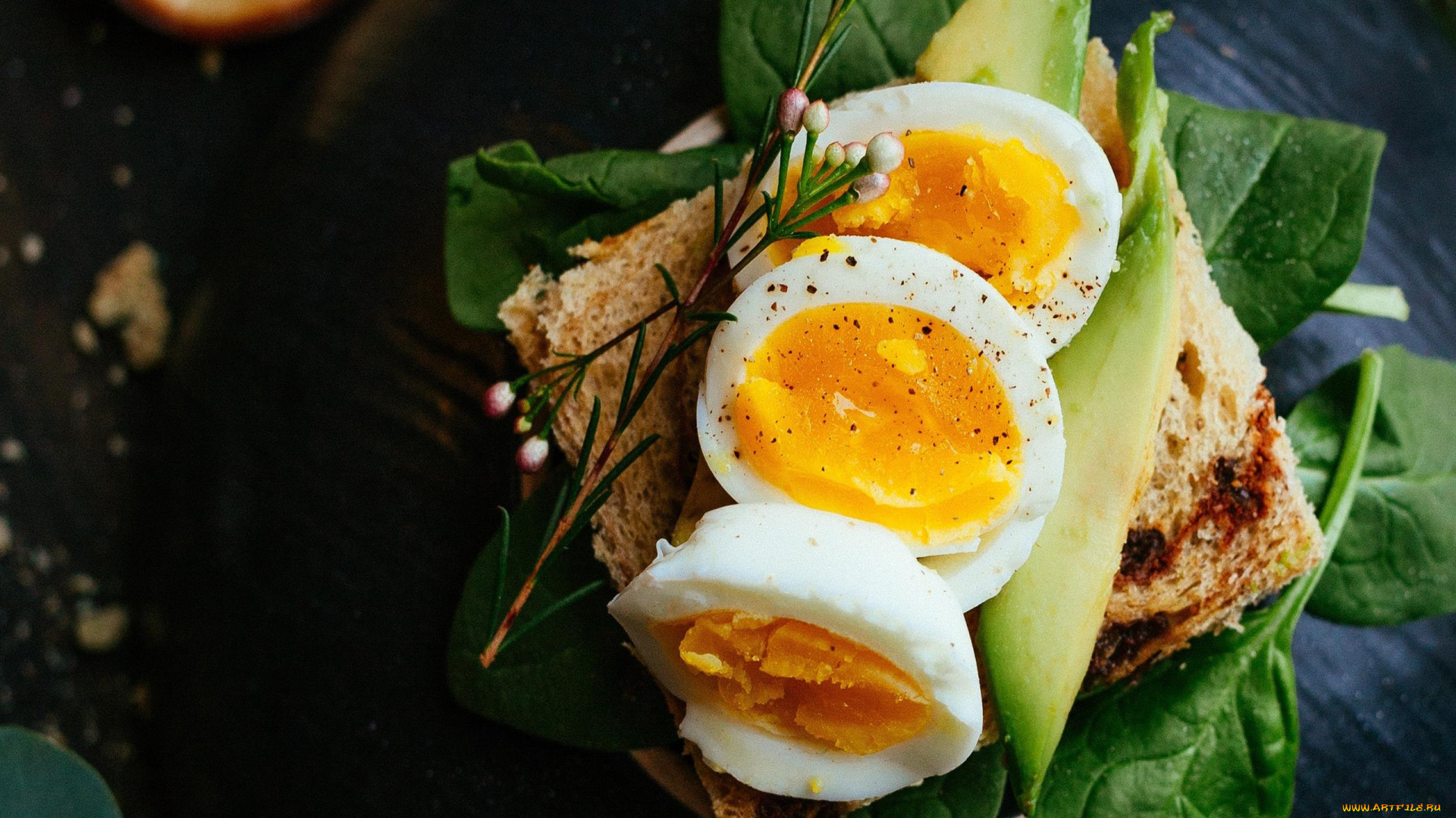 еда, бутерброды, , гамбургеры, , канапе, бутерброд