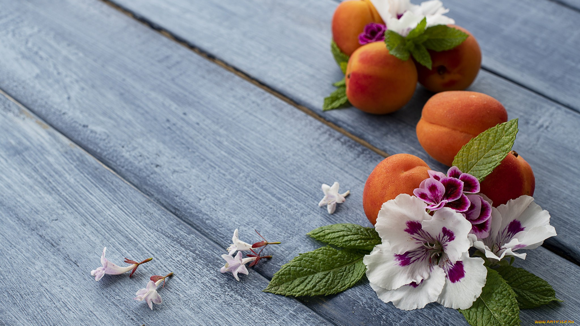 еда, персики, , сливы, , абрикосы, абрикос, фон, голубой, цветы