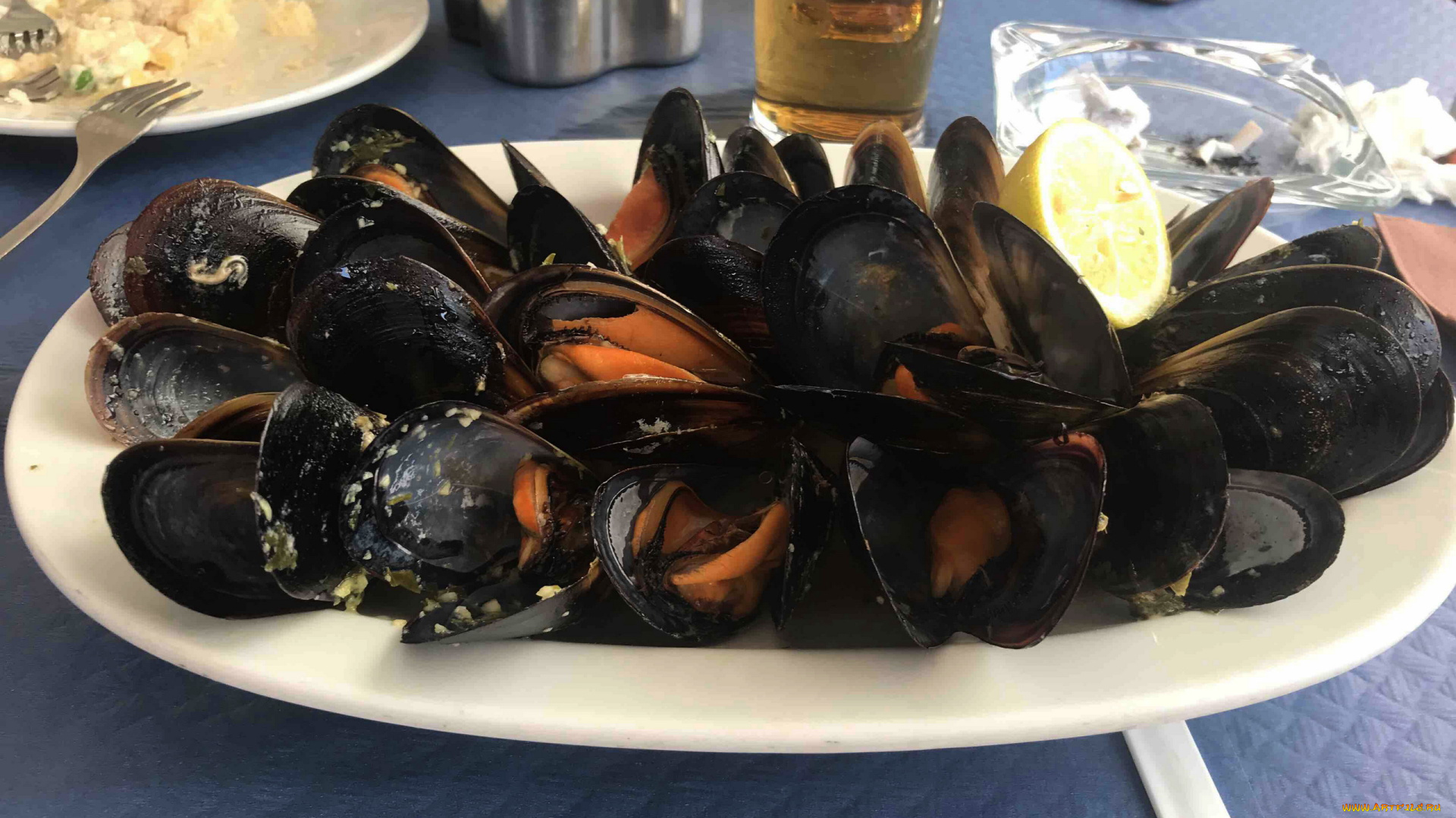 еда, рыба, , морепродукты, , суши, , роллы, мидии