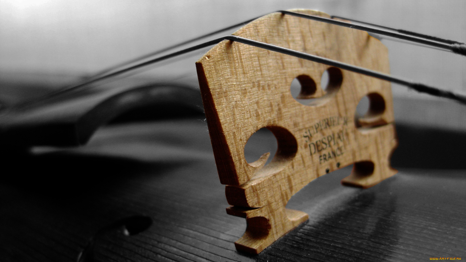 музыка, -музыкальные, инструменты, дека, скрипка