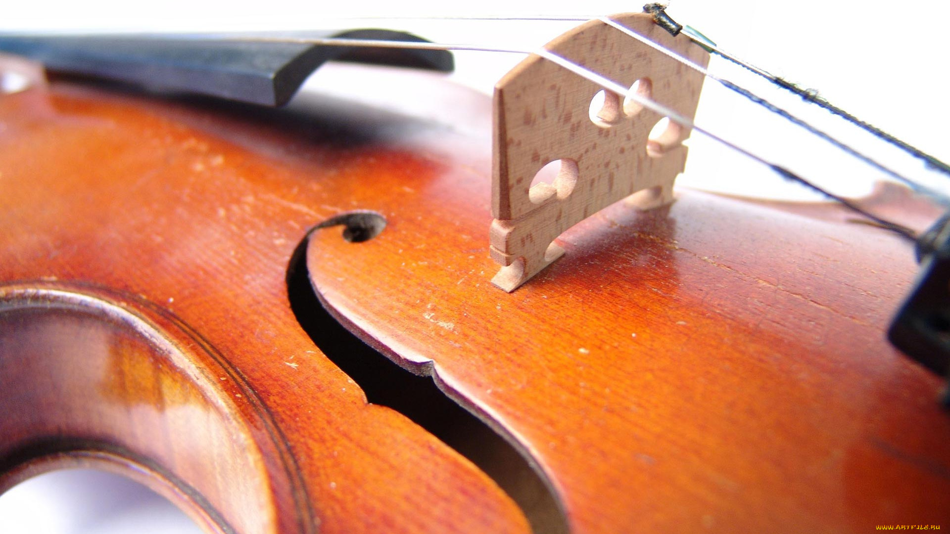 музыка, -музыкальные, инструменты, скрипка