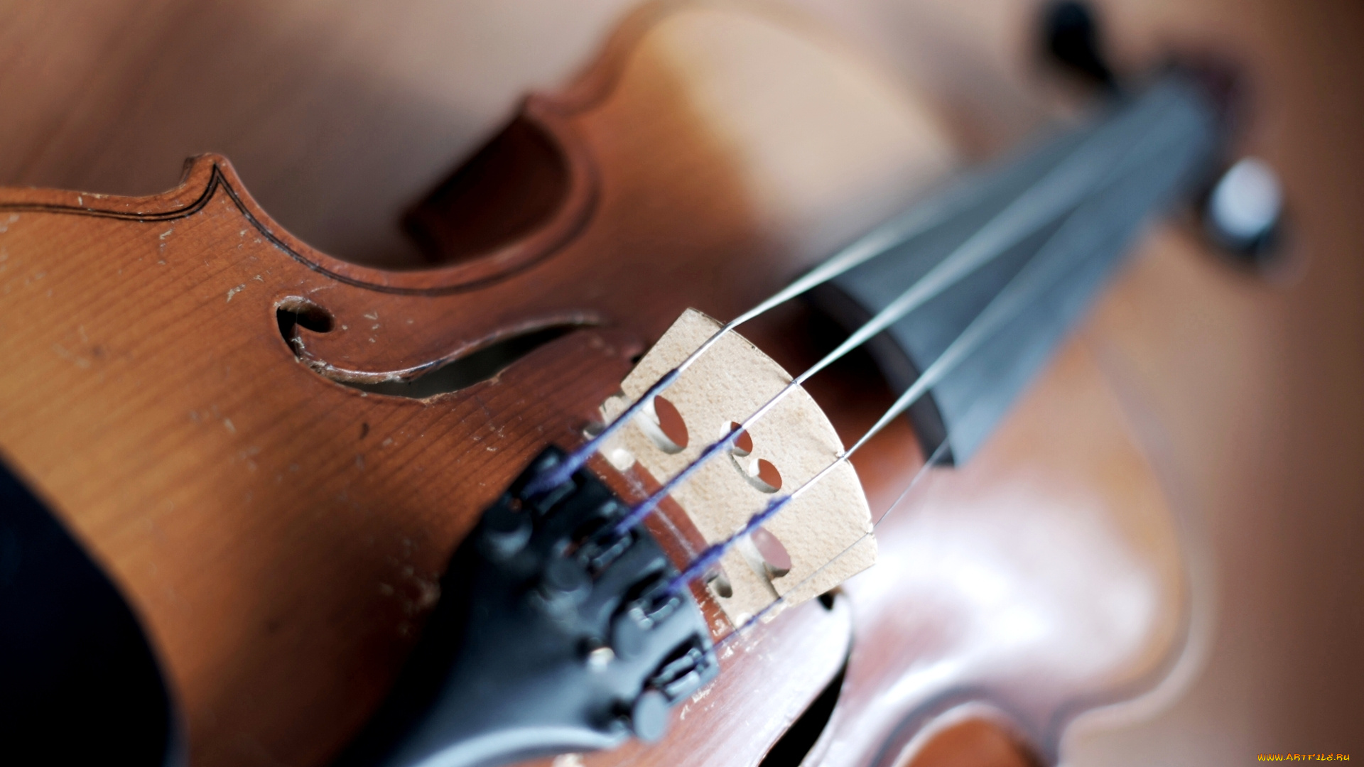 музыка, -музыкальные, инструменты, скрипка