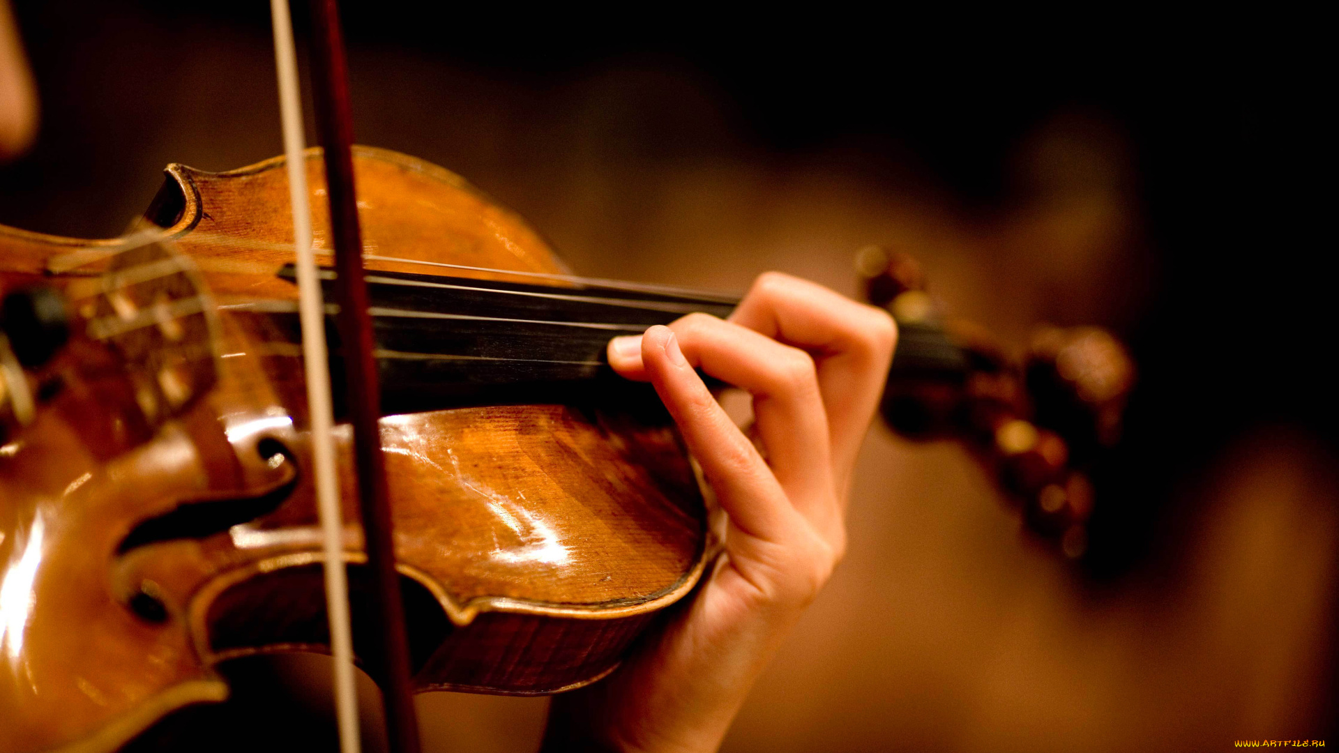 музыка, -музыкальные, инструменты, скрипка, руки