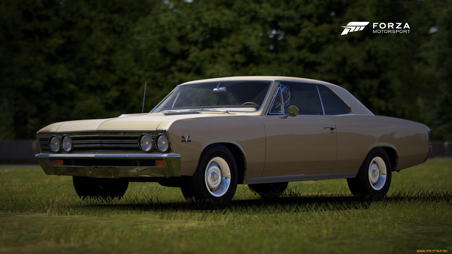 видео, игры, forza, motorsport, forza, motorsport