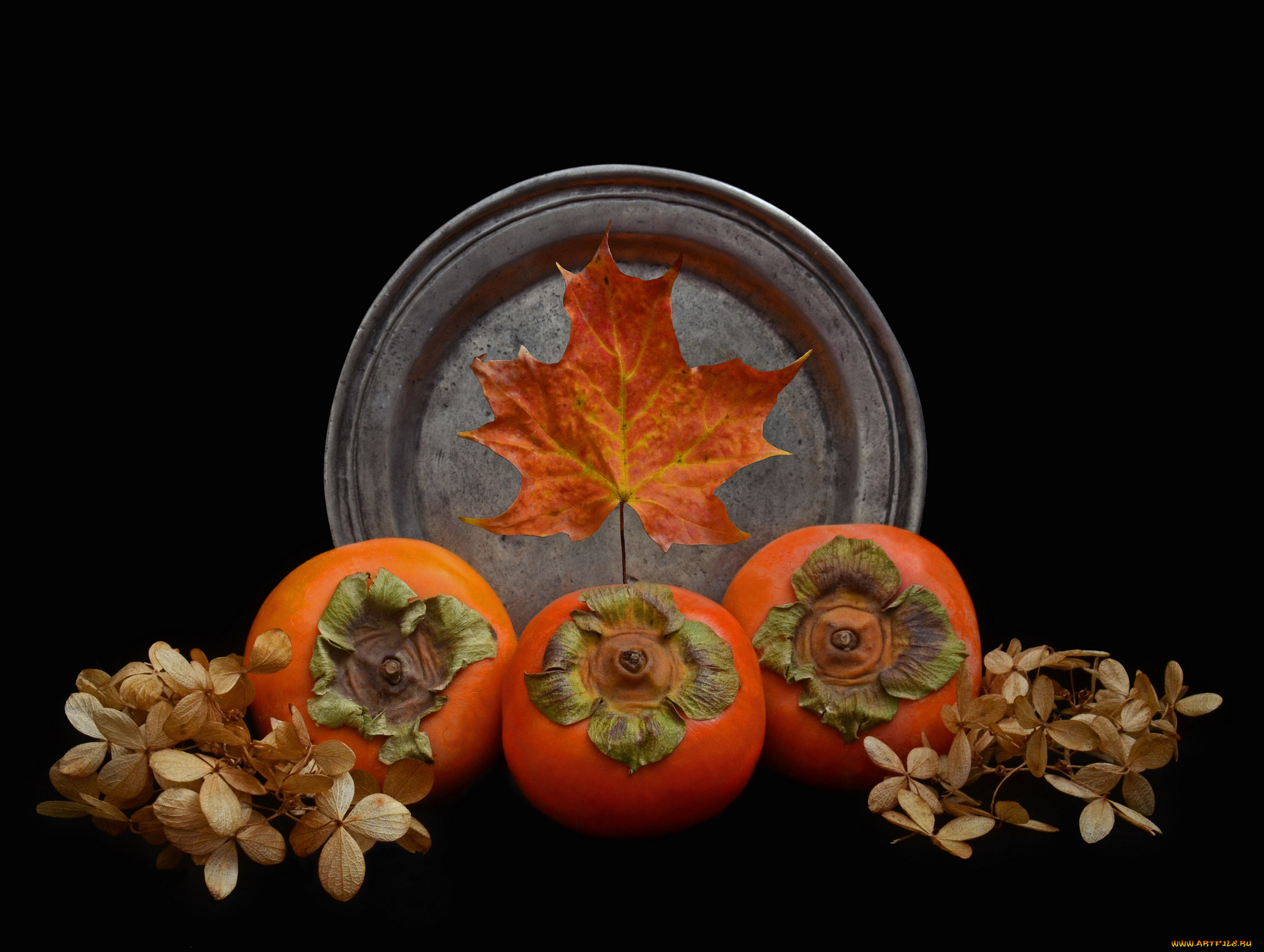 еда, натюрморт, снедь