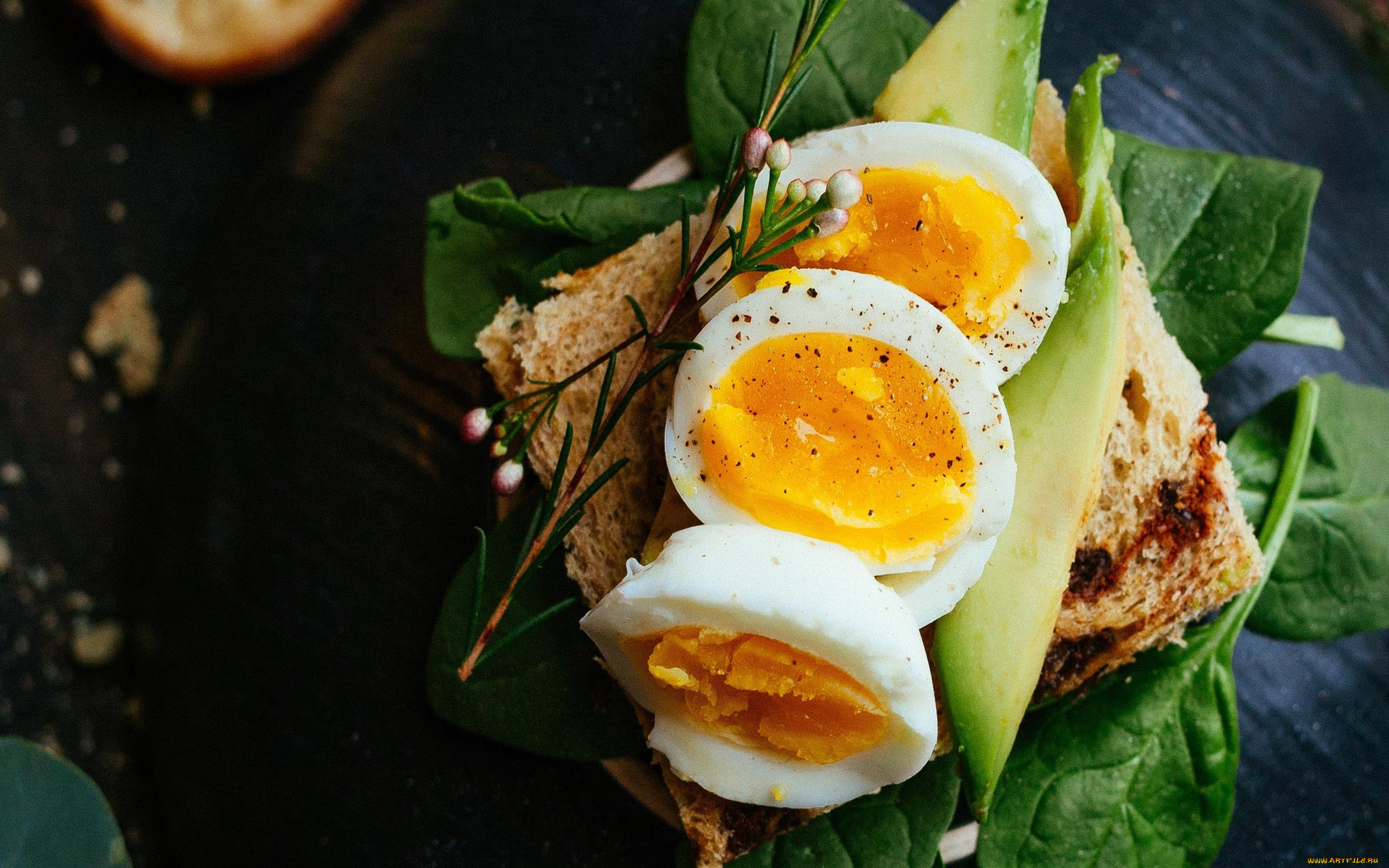 еда, бутерброды, , гамбургеры, , канапе, бутерброд