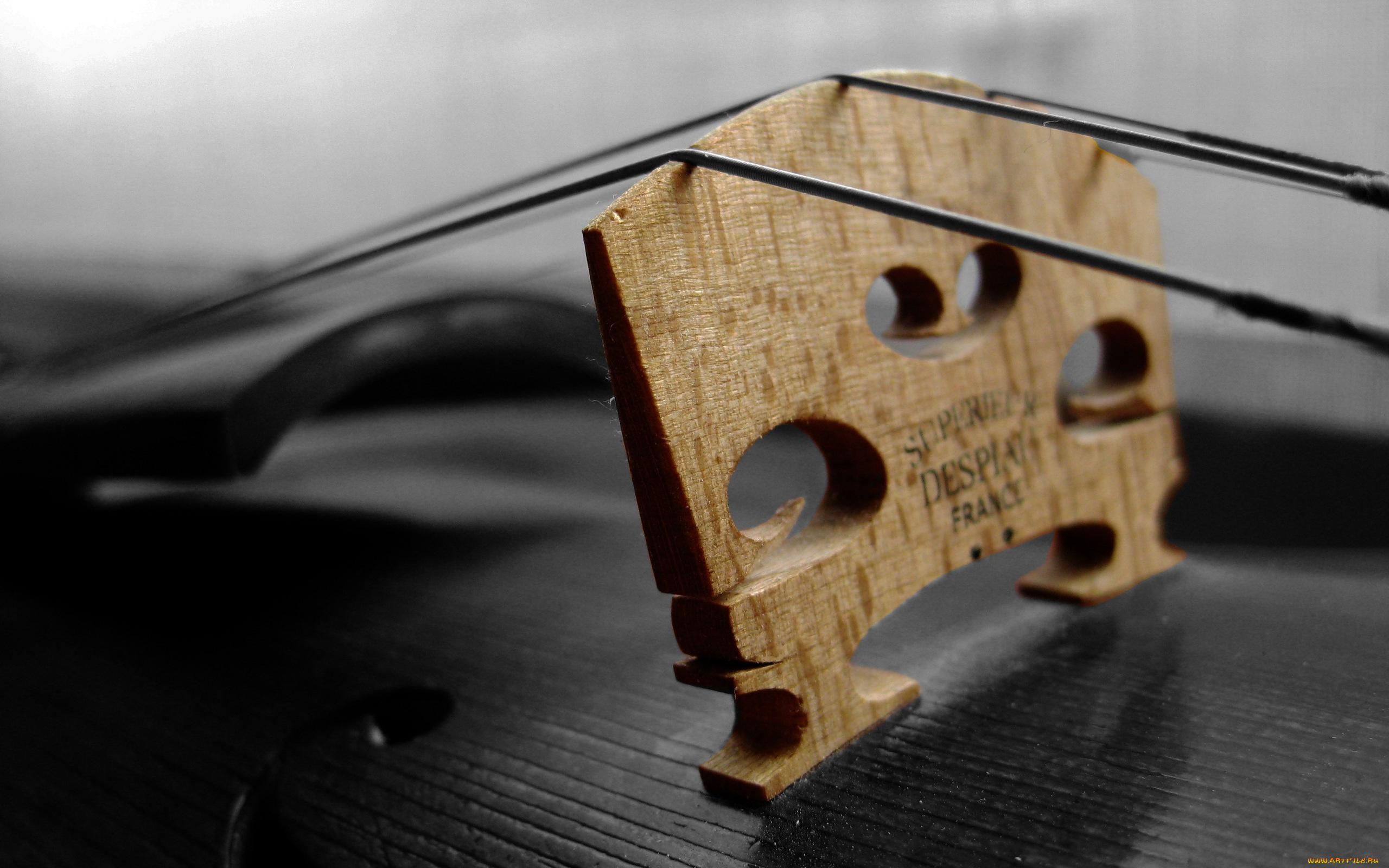 музыка, -музыкальные, инструменты, дека, скрипка