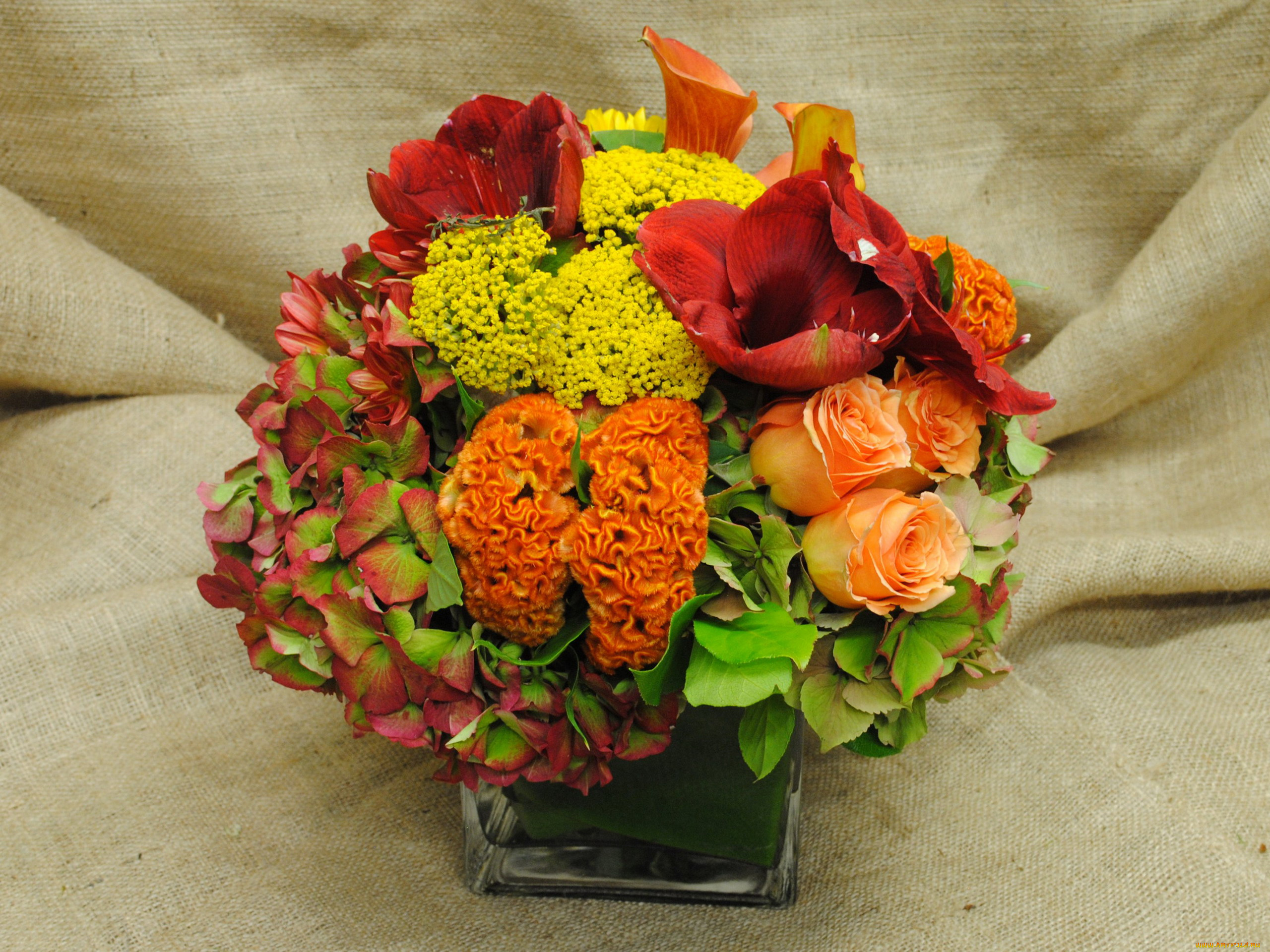 цветы, букеты, , композиции, каллы, розы