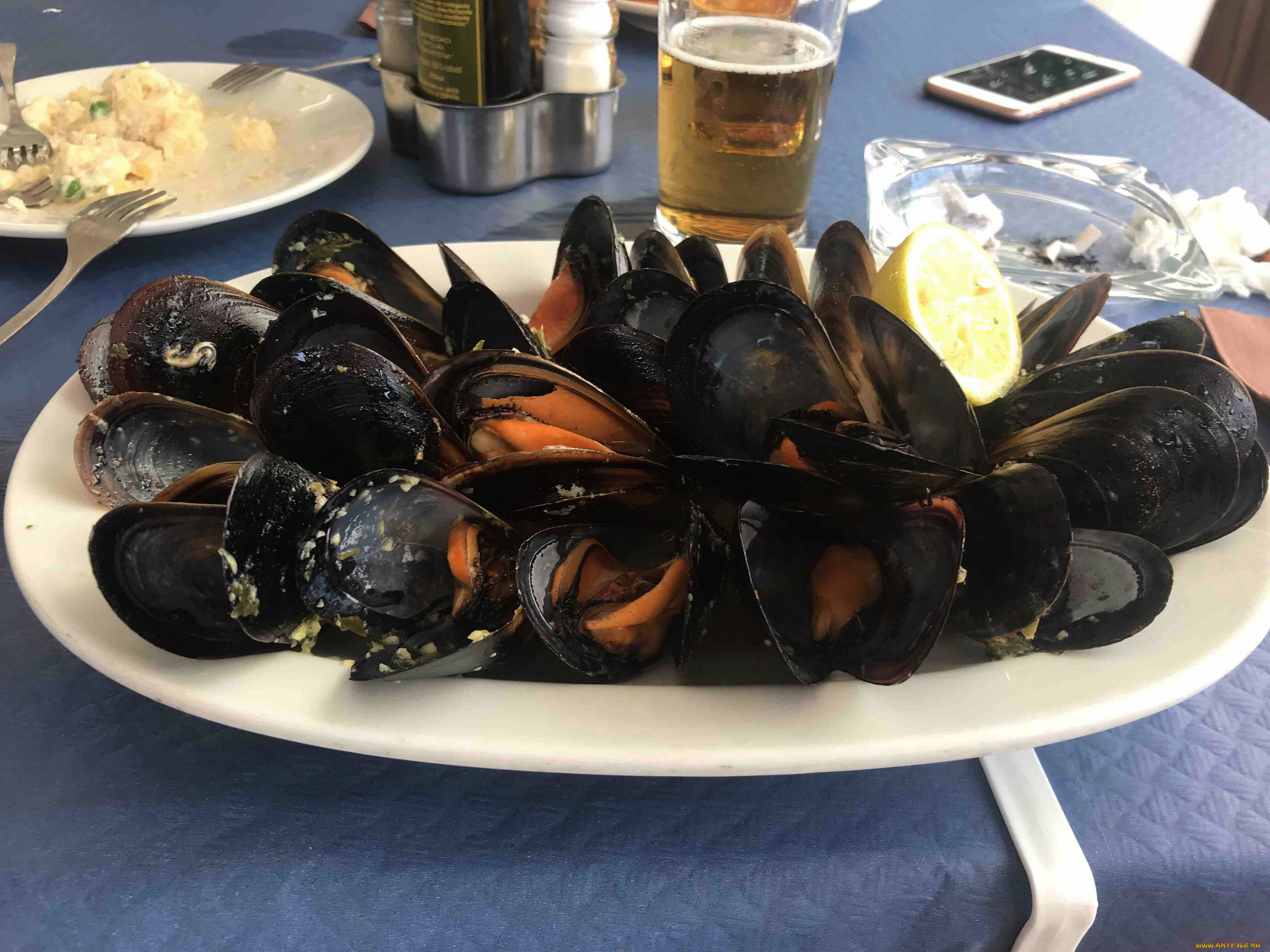 еда, рыба, , морепродукты, , суши, , роллы, мидии