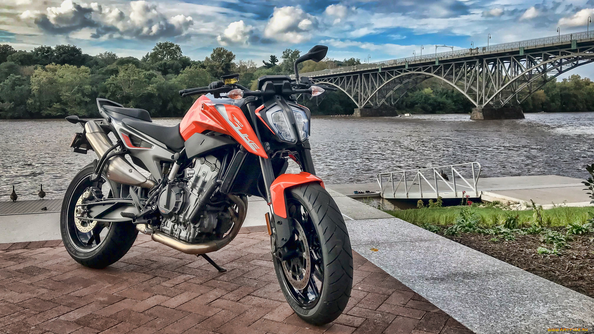 2019, ktm, 790, duke, мотоциклы, ktm, супербайк, австрийские, кtm, 790, duke, 2019, hdr