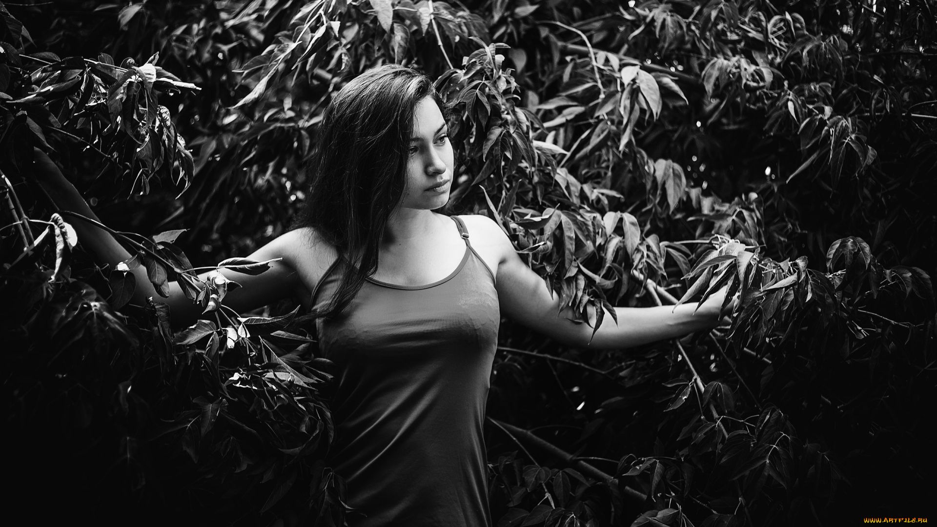 девушки, -, черно-белые, красивая, девушка