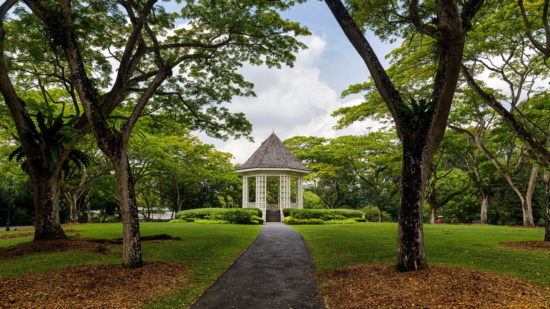 природа, парк, деревья, аллея, беседка