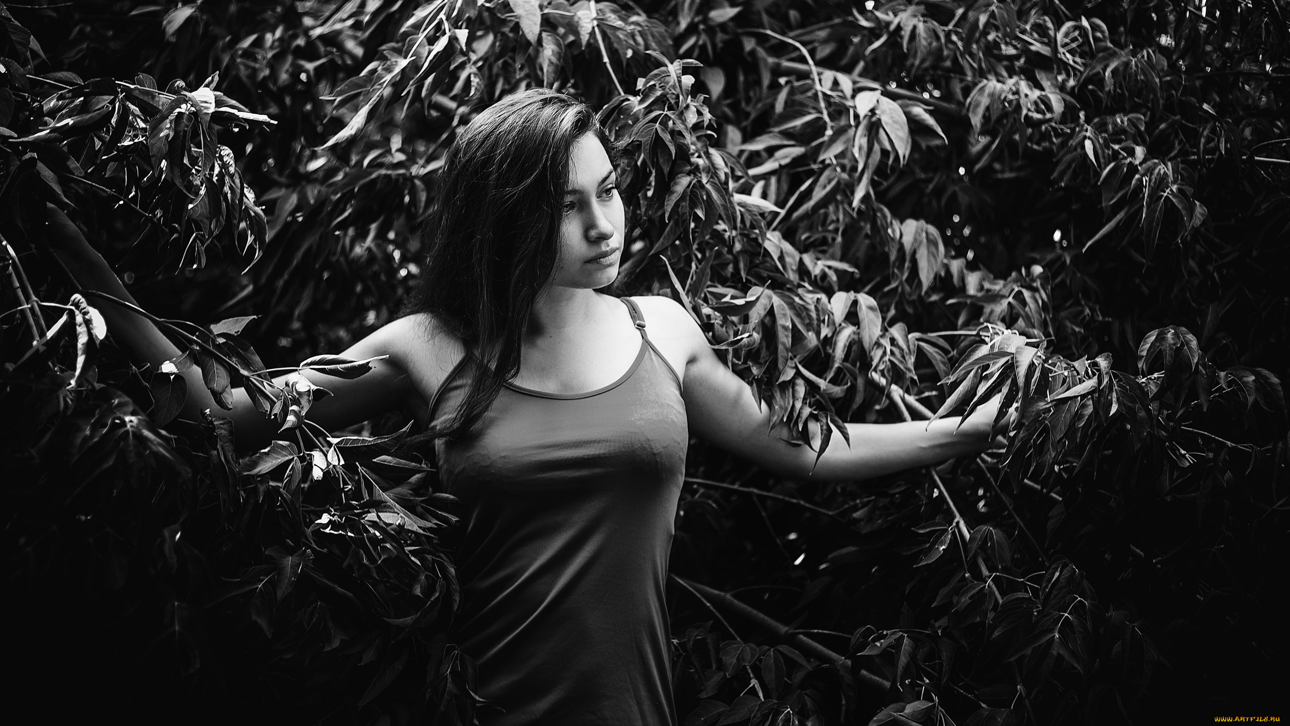 девушки, -, черно-белые, красивая, девушка