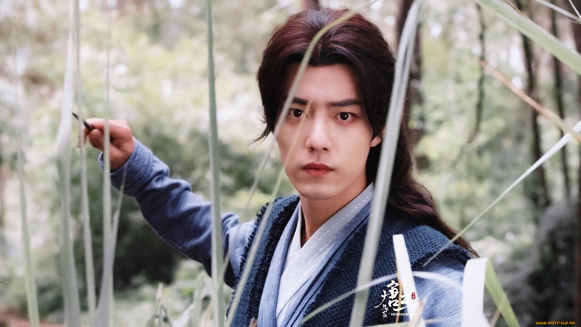 кино, фильмы, douluo, continent, тан, сань, оружие, камыши