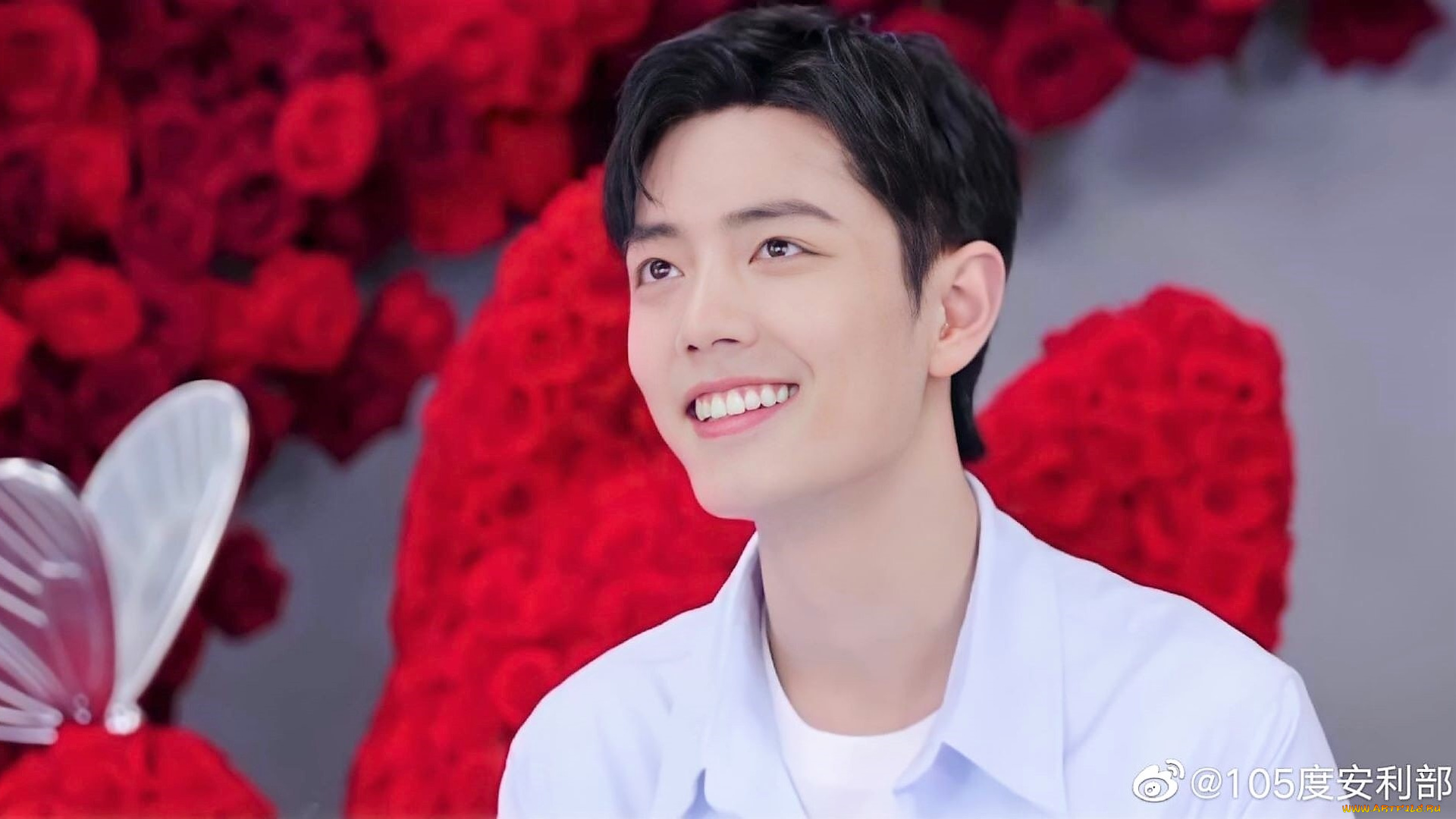 мужчины, xiao, zhan, актер, лицо, розы, бабочка