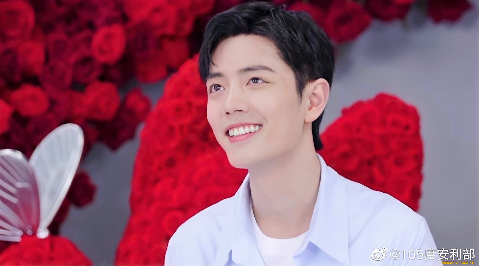 мужчины, xiao, zhan, актер, лицо, розы, бабочка