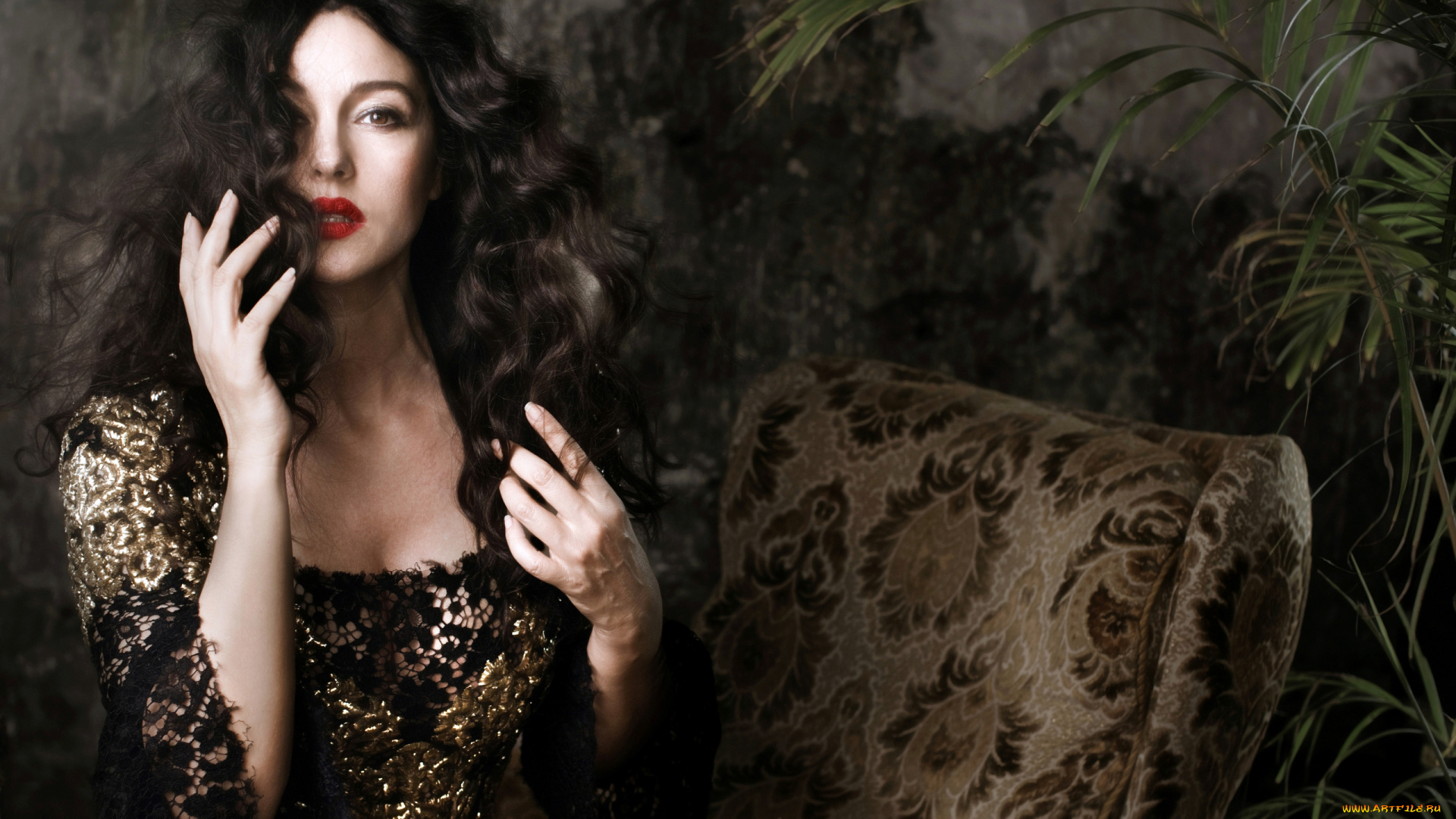 девушки, monica, bellucci, итальянская, кинозвезда, актриса, брюнетка