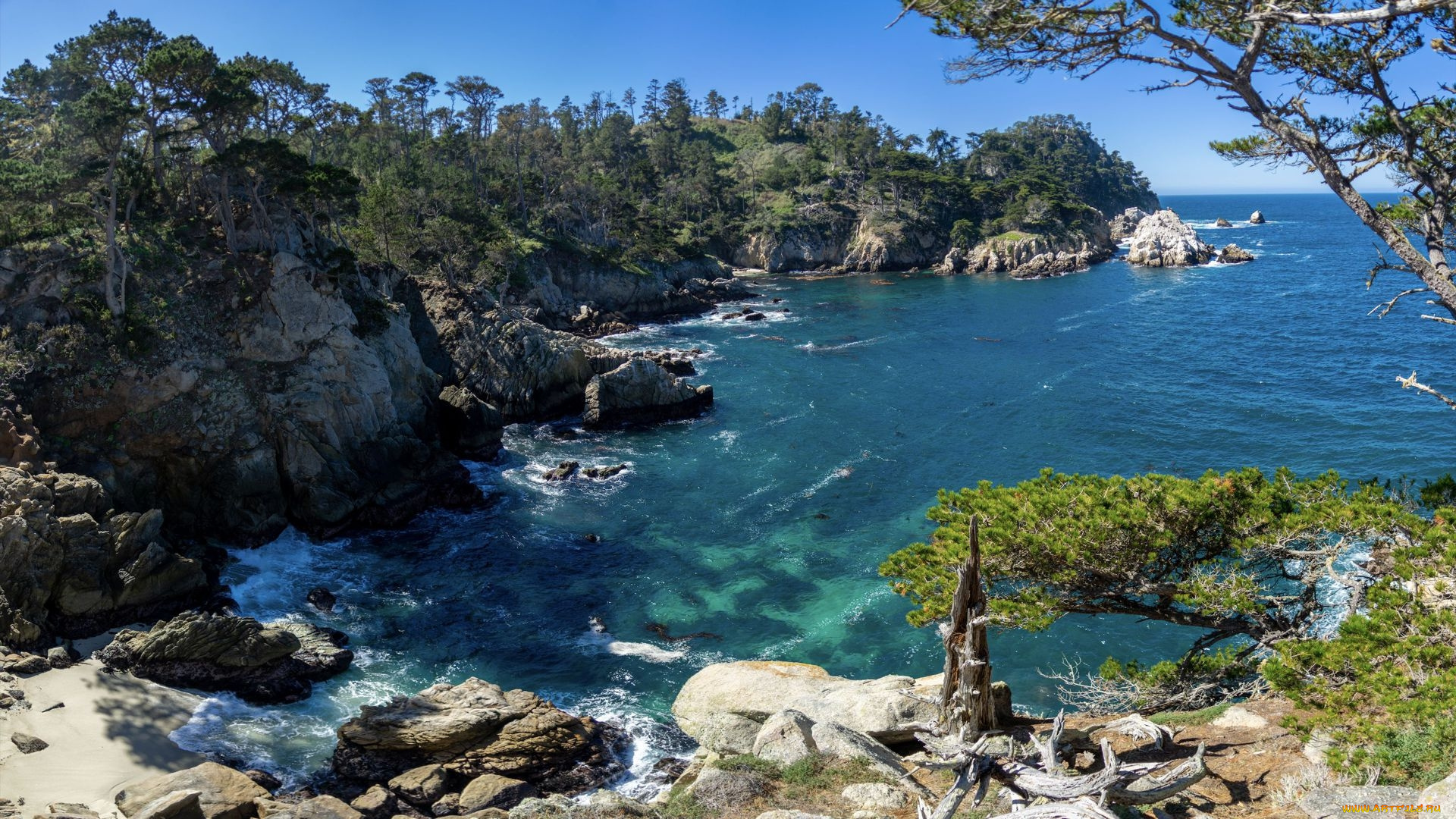 point, lobos, south, of, monterey, california, природа, побережье, point, lobos, south, of, monterey