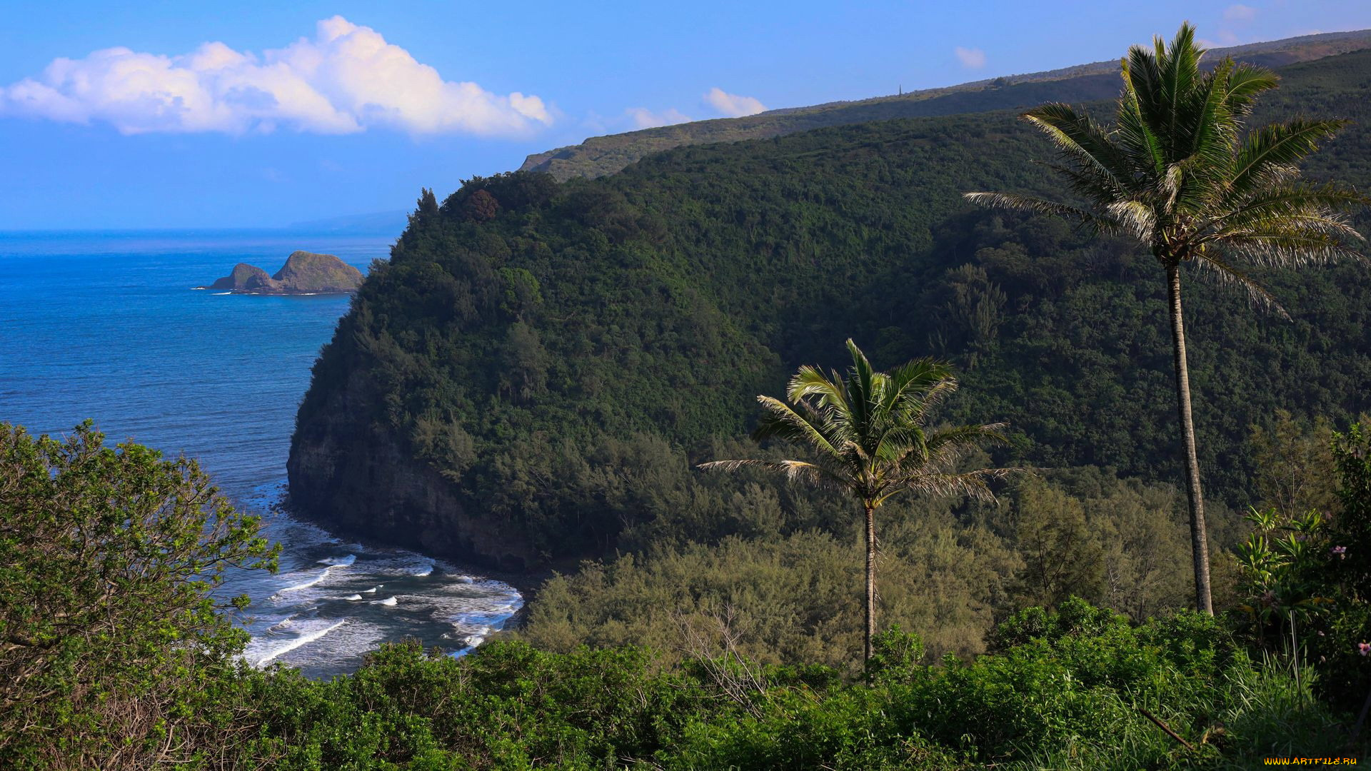 pololu, valley, big, island, hawaii, природа, побережье, pololu, valley, big, island