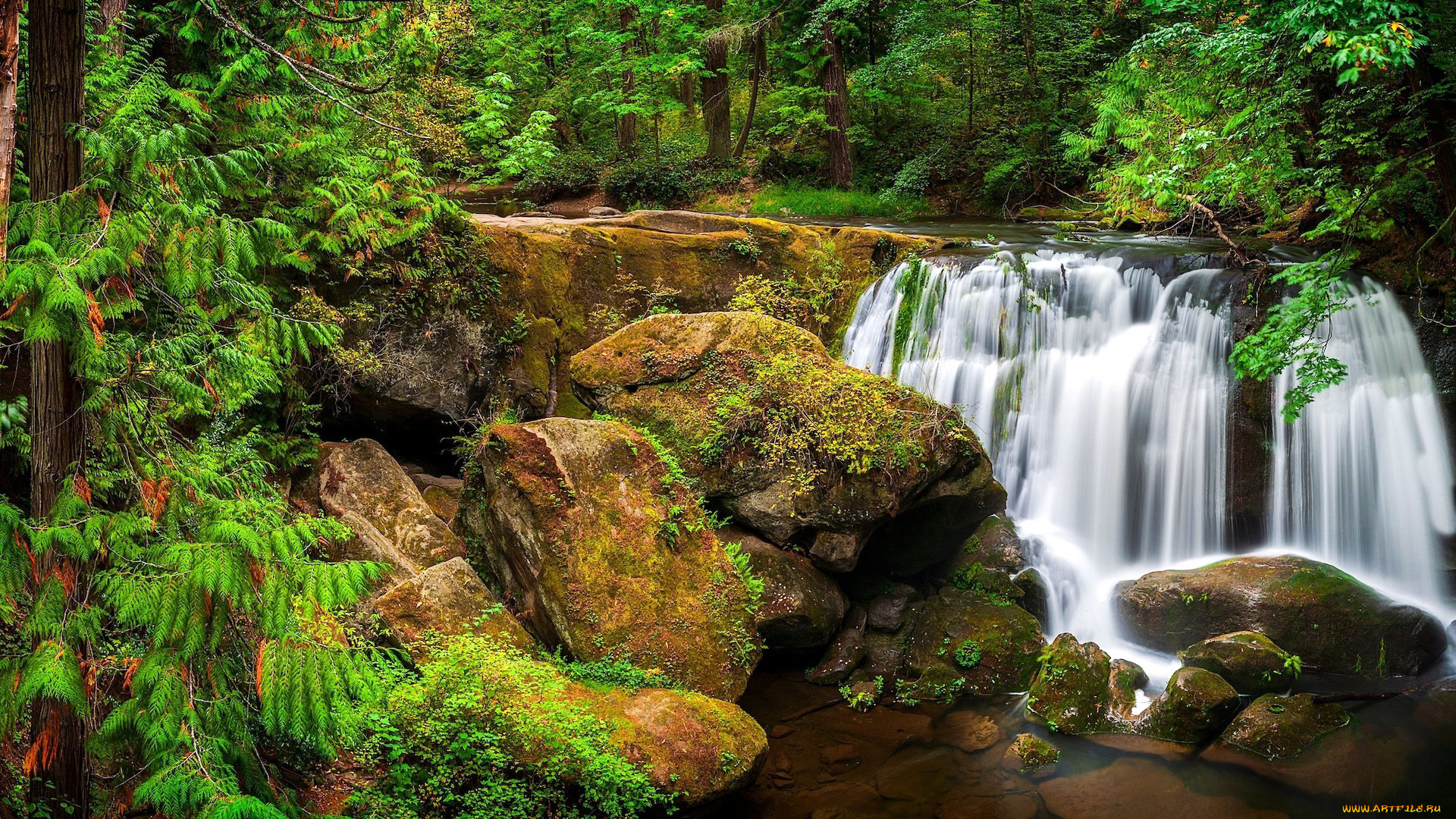 whatcom, falls, usa, природа, водопады, whatcom, falls
