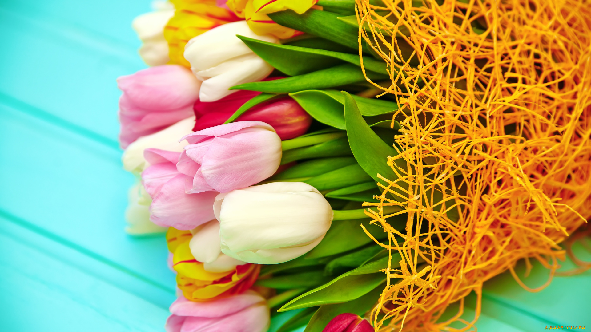 цветы, тюльпаны, букет