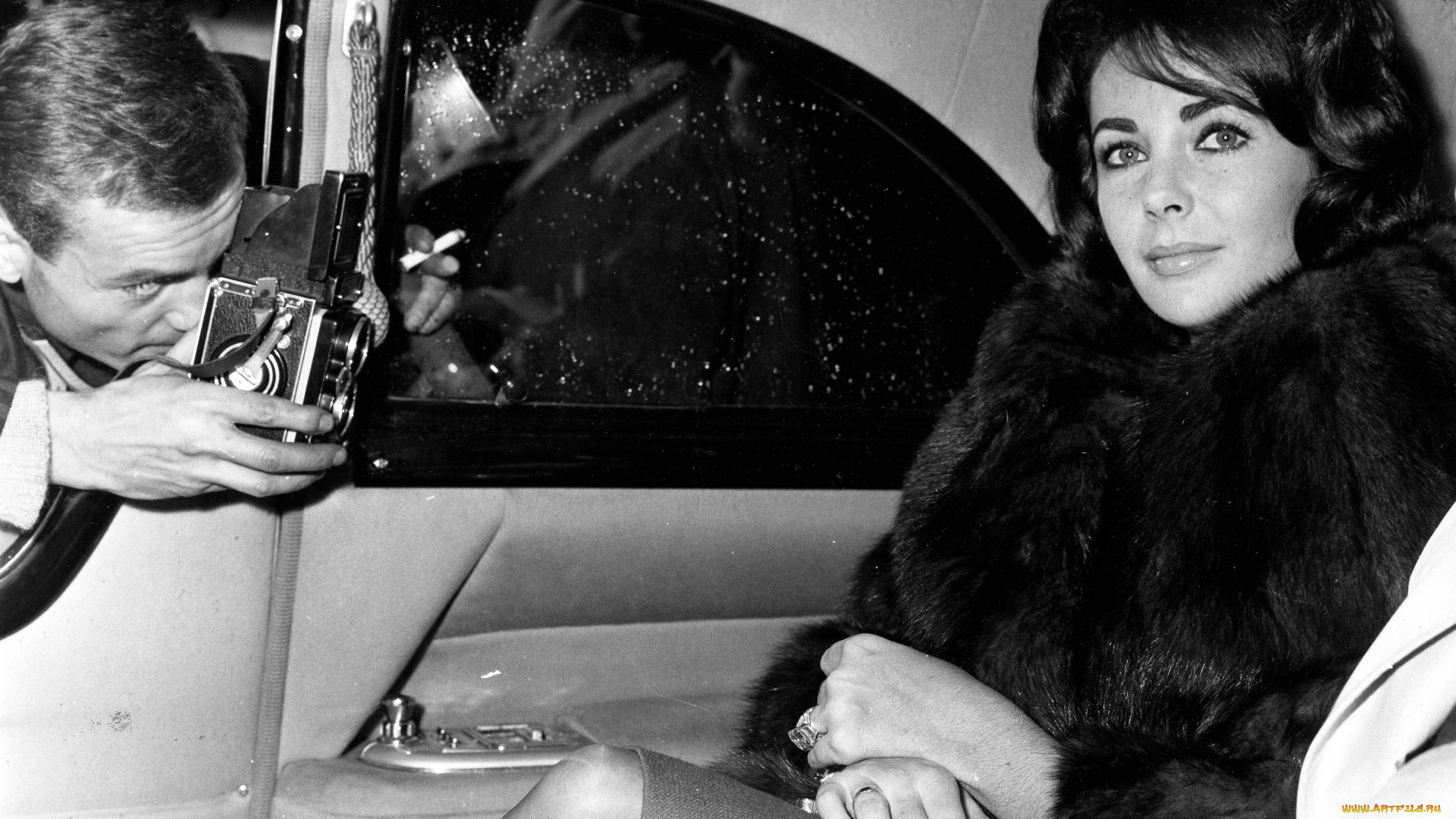 Elizabeth, Taylor, девушки, , , фотограф, автомобиль, актриса, ретро