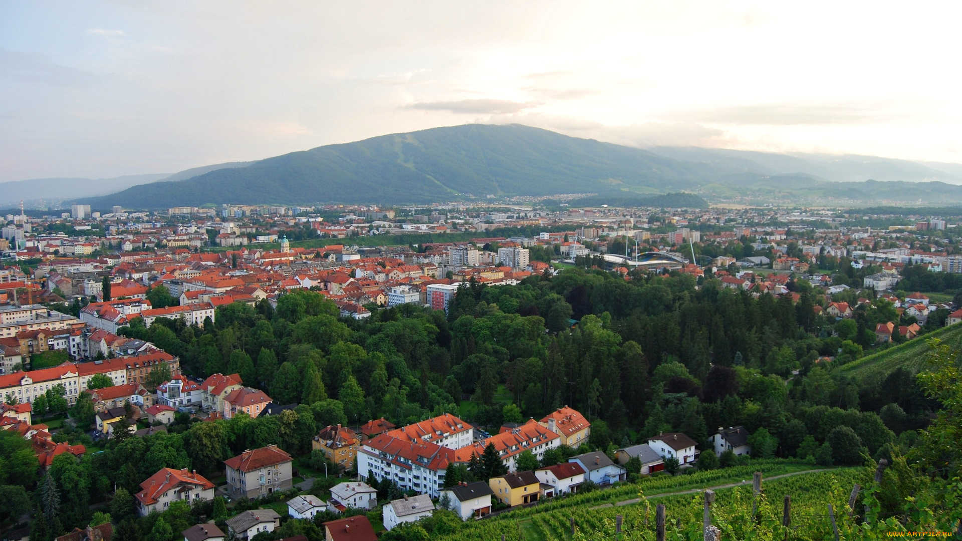 марибор, словения, города, пейзажи, деревья, крыши, дома, горы