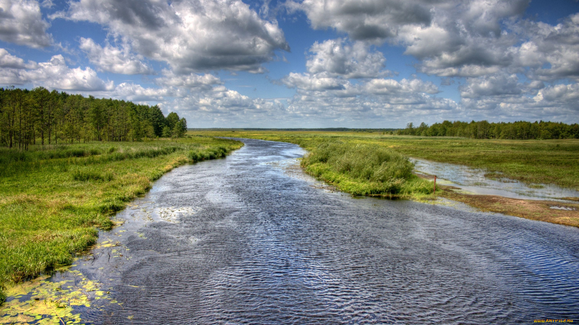 природа, реки, озера, река, облака