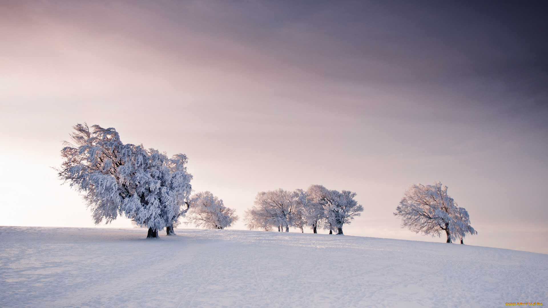 природа, зима, снег