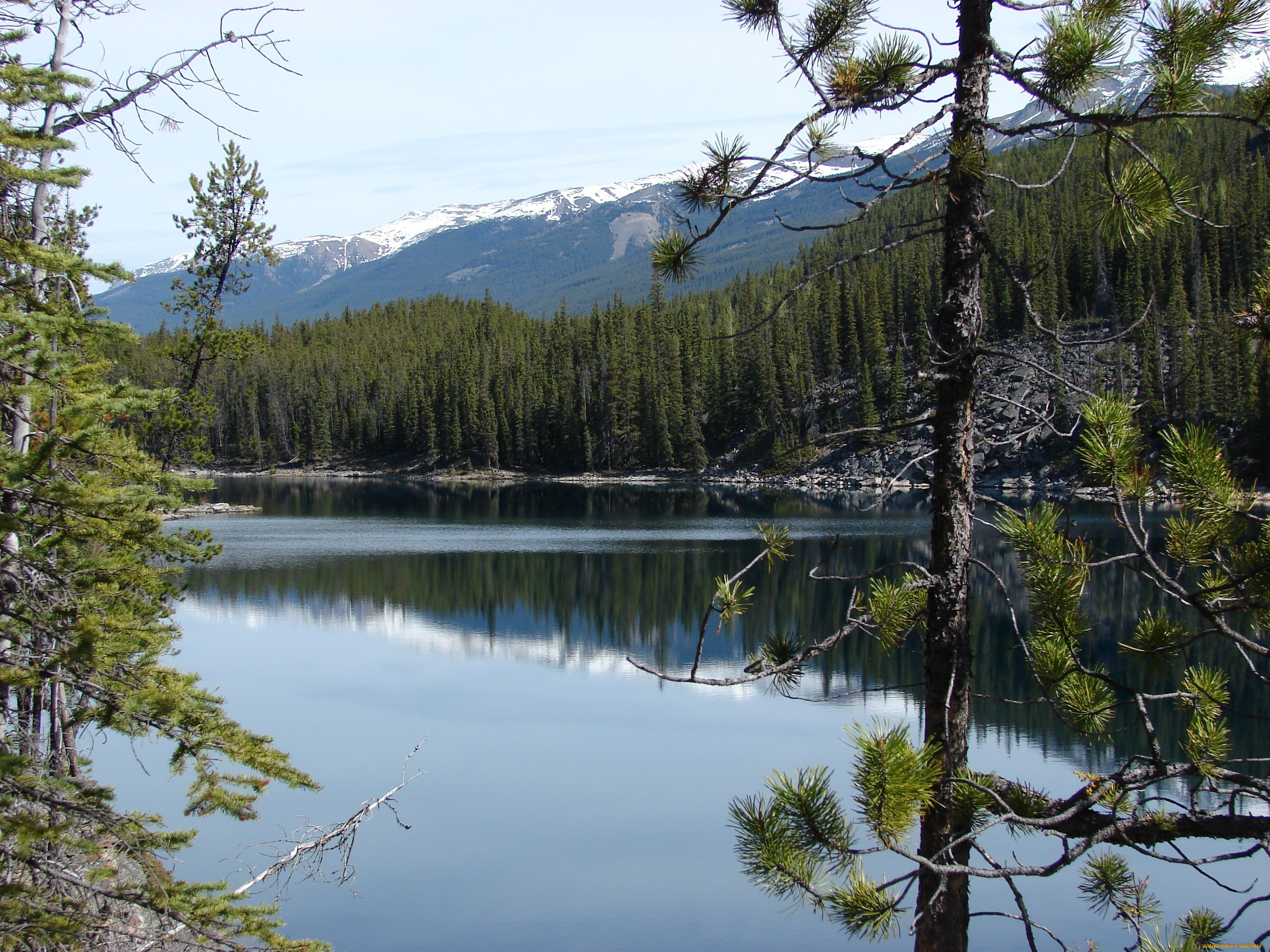 horseshoe, lake, jasper, national, park, природа, реки, озера, горы, озеро