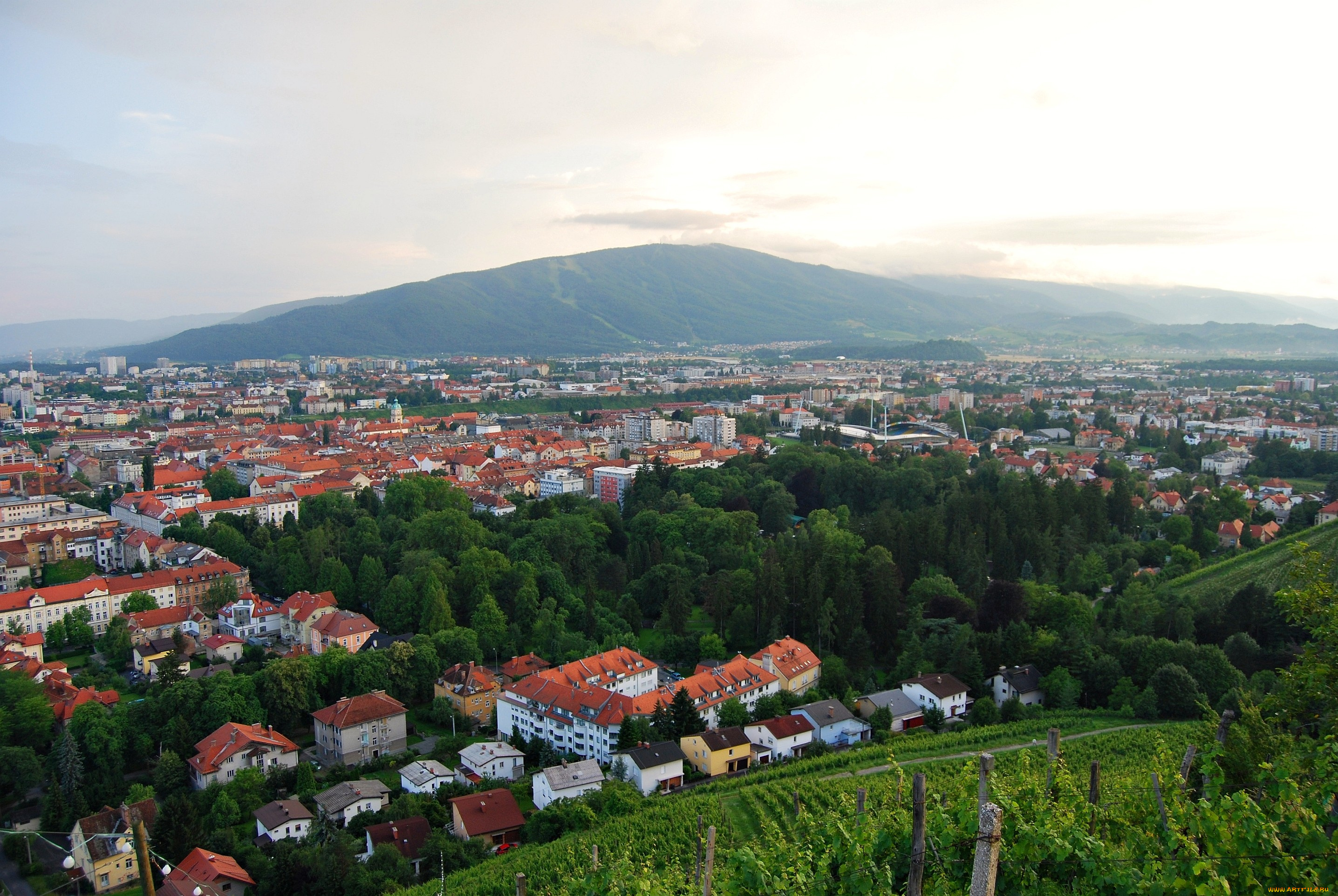 марибор, словения, города, пейзажи, деревья, крыши, дома, горы