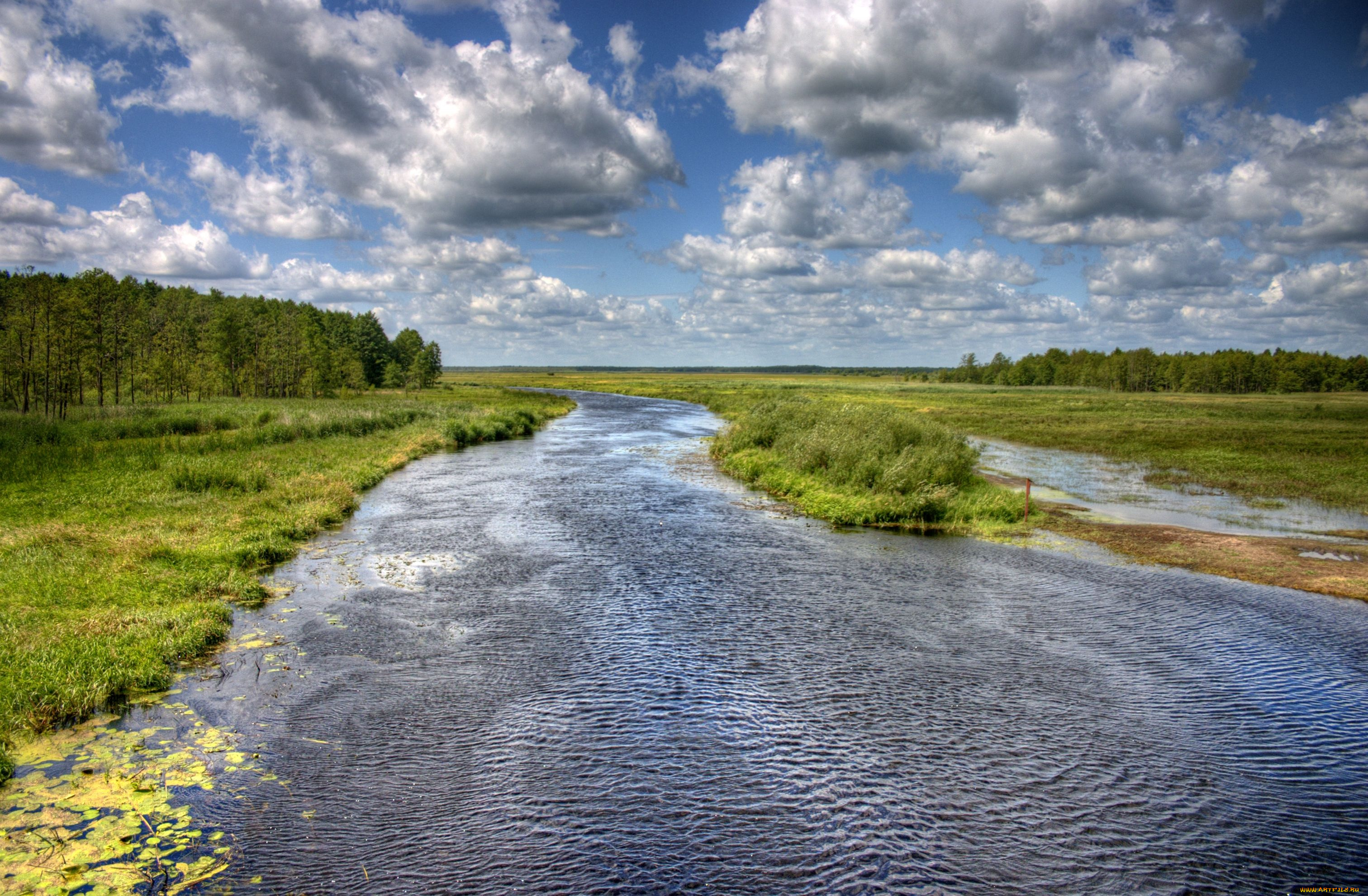 природа, реки, озера, река, облака