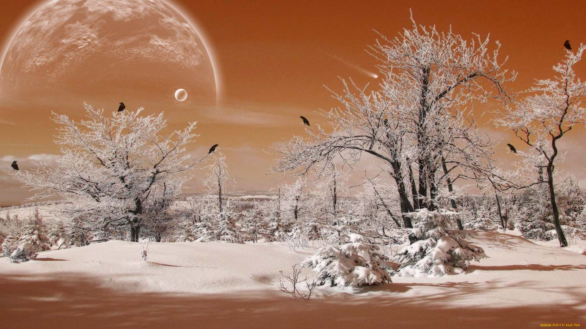 3д, графика, atmosphere, mood, атмосфера, настроения, планета, птицы, снег, лес, зима