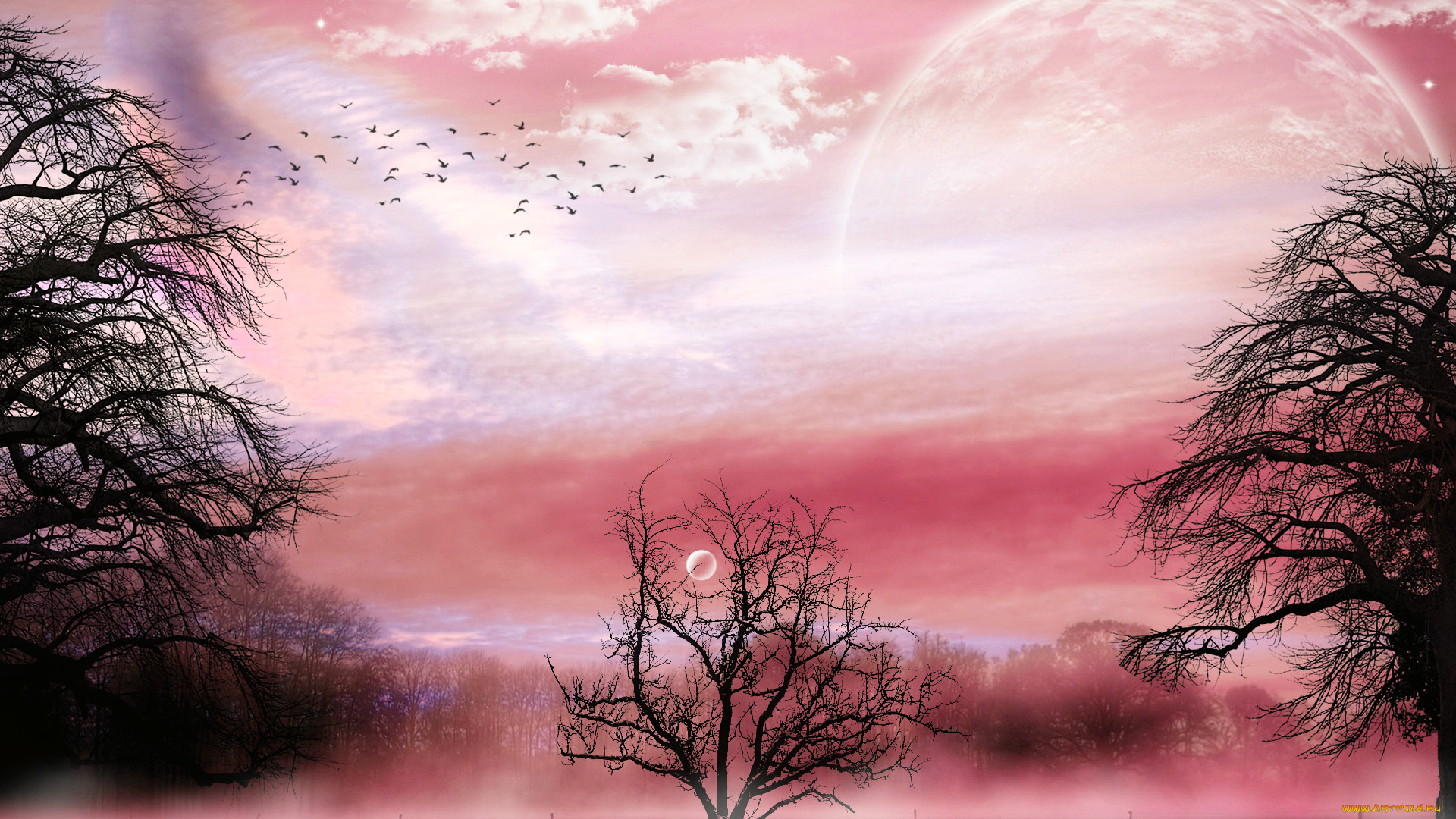 3д, графика, atmosphere, mood, атмосфера, настроения, планета, облака, туман, лес, птицы